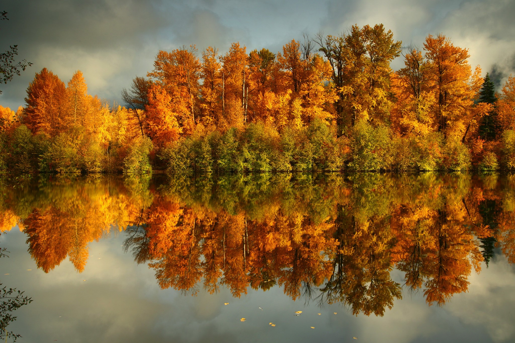 Autumn trees reflected in water under cloudy sky HD Wallpaper