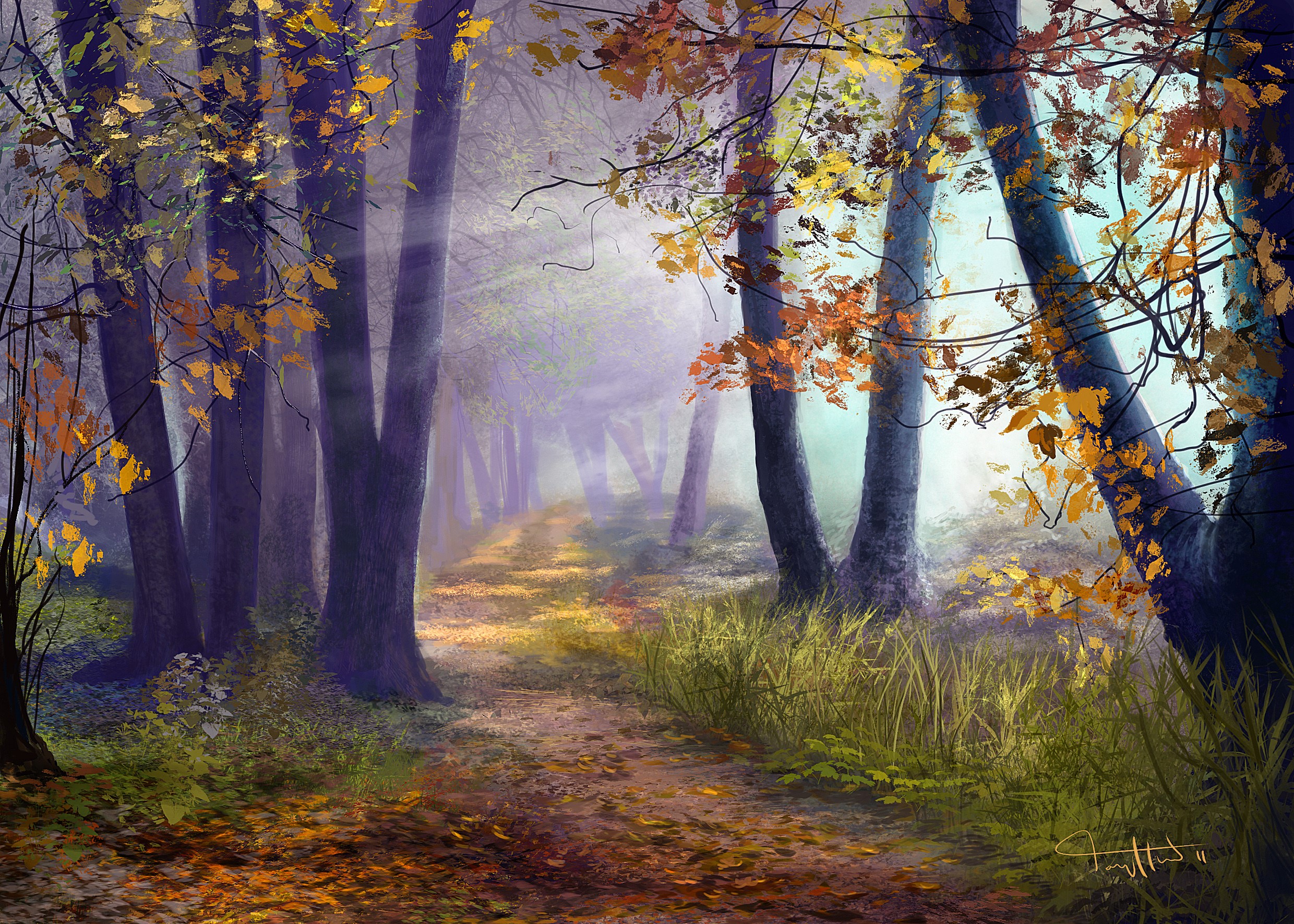 A foggy forest path with autumn leaves and sunbeams HD Wallpaper