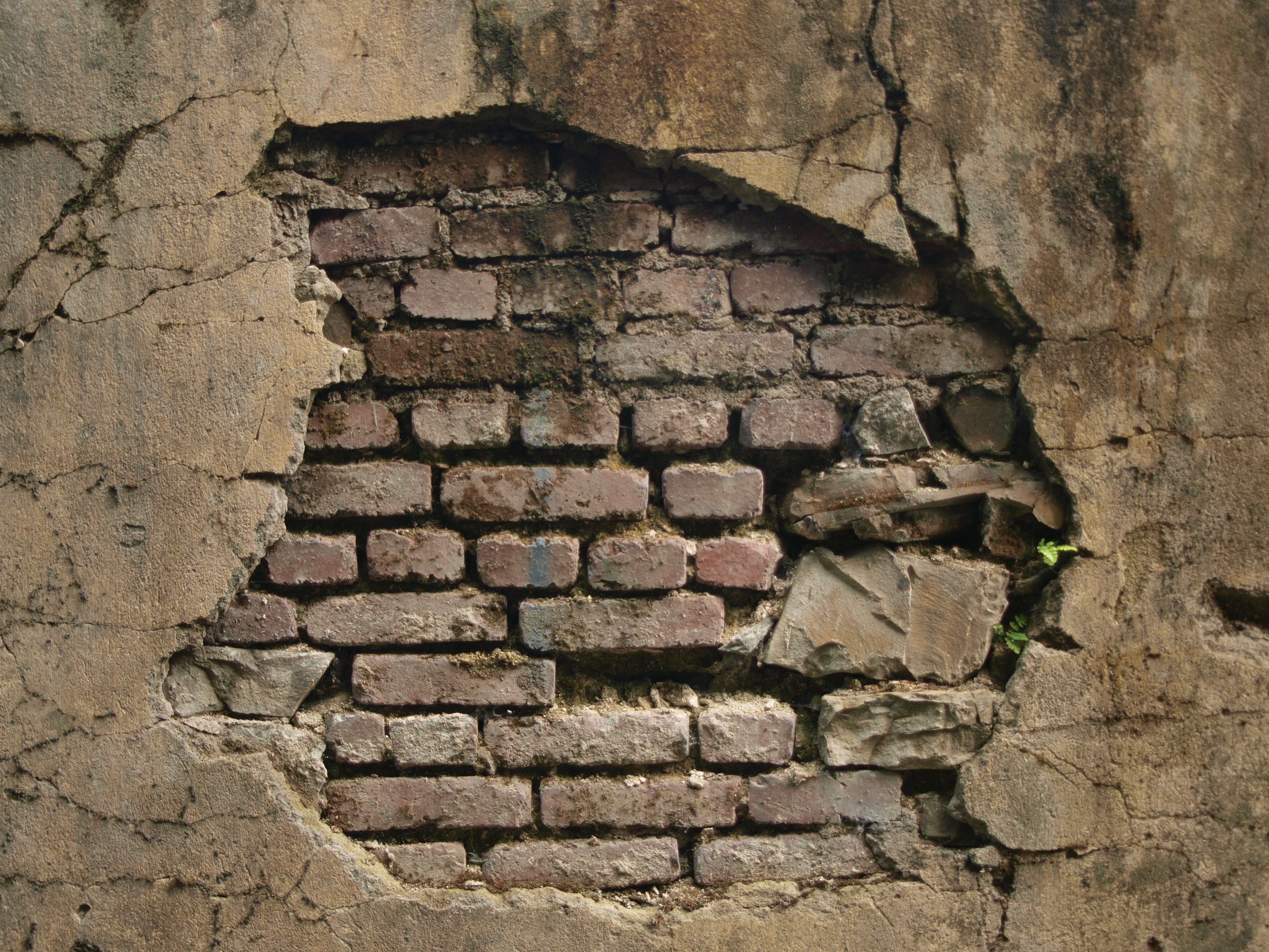 Cracked plaster wall revealing old bricks HD Wallpaper
