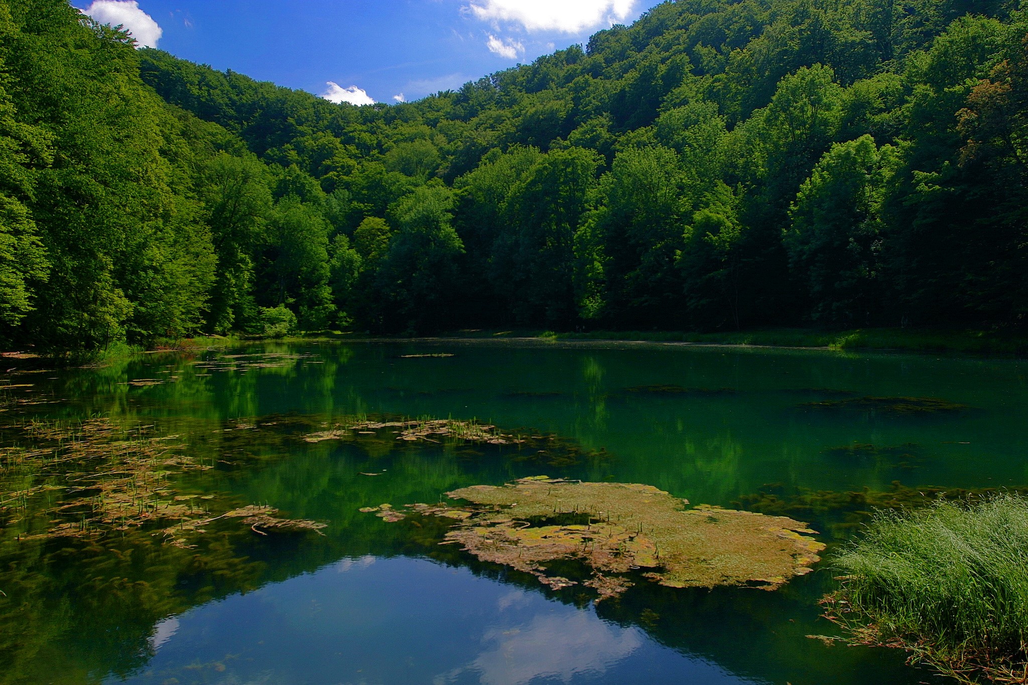 Lake in Janoshalma, Hungary HD Wallpaper