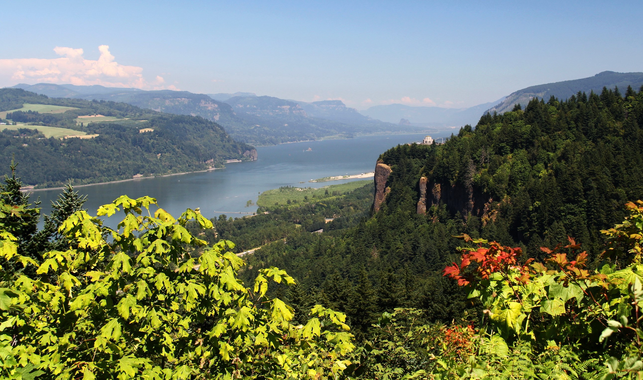 Columbia River Gorge with forested cliffs and mountains HD Wallpaper