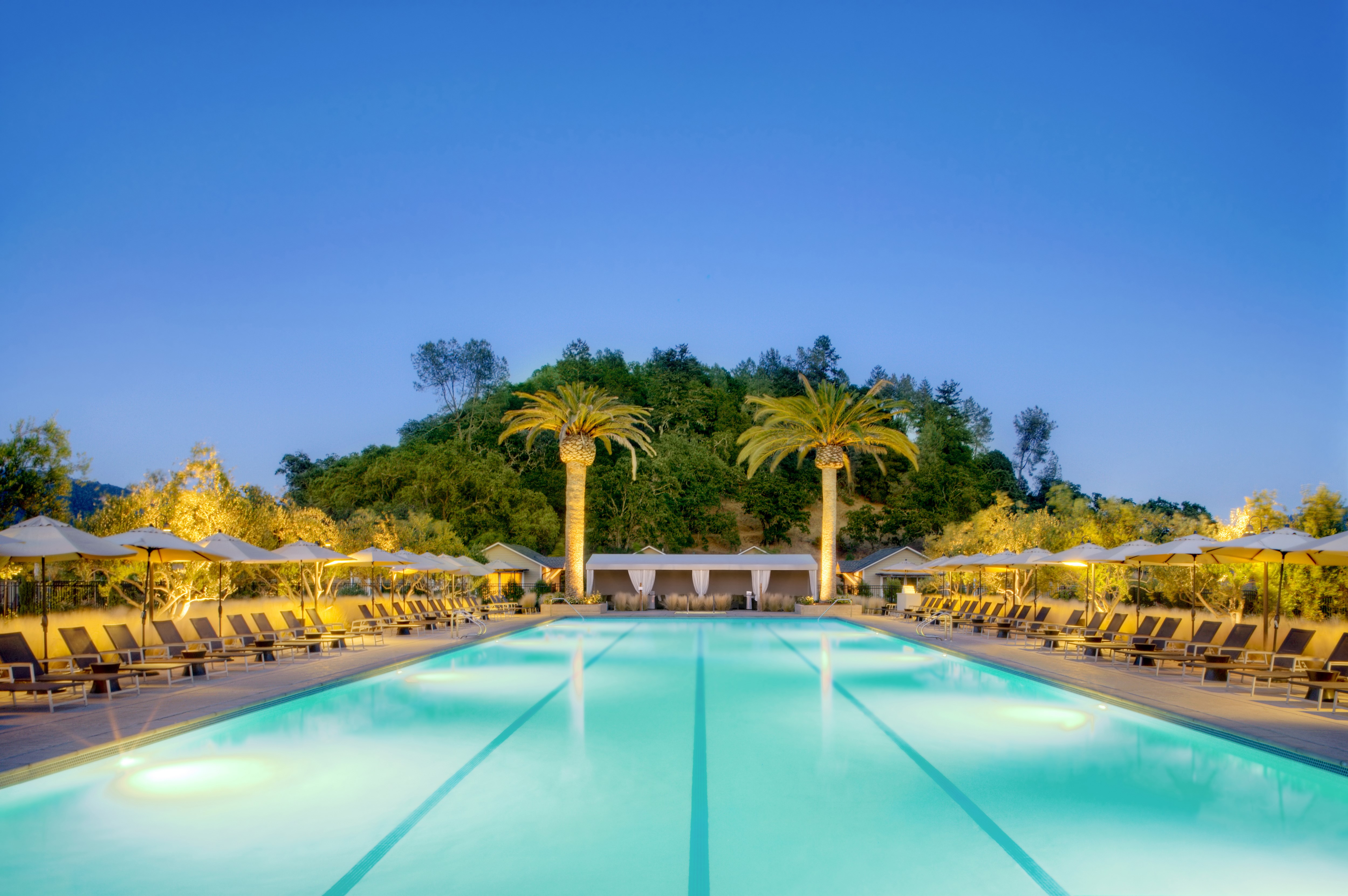 Resort swimming pool with palm trees and lounge chairs HD Wallpaper