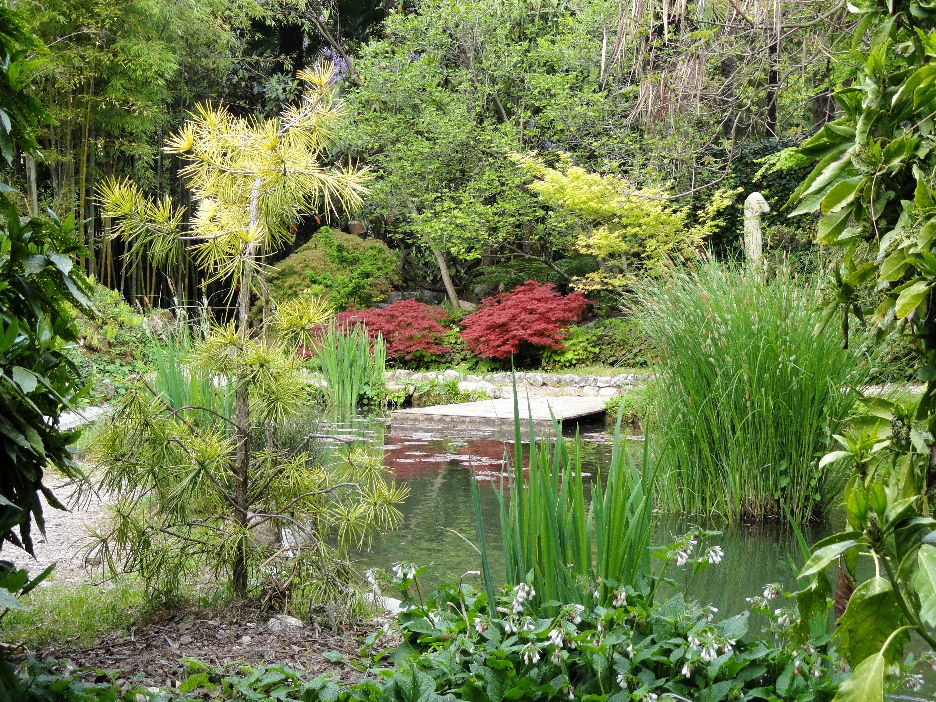 Japanese garden with pond and bamboo HD Wallpaper