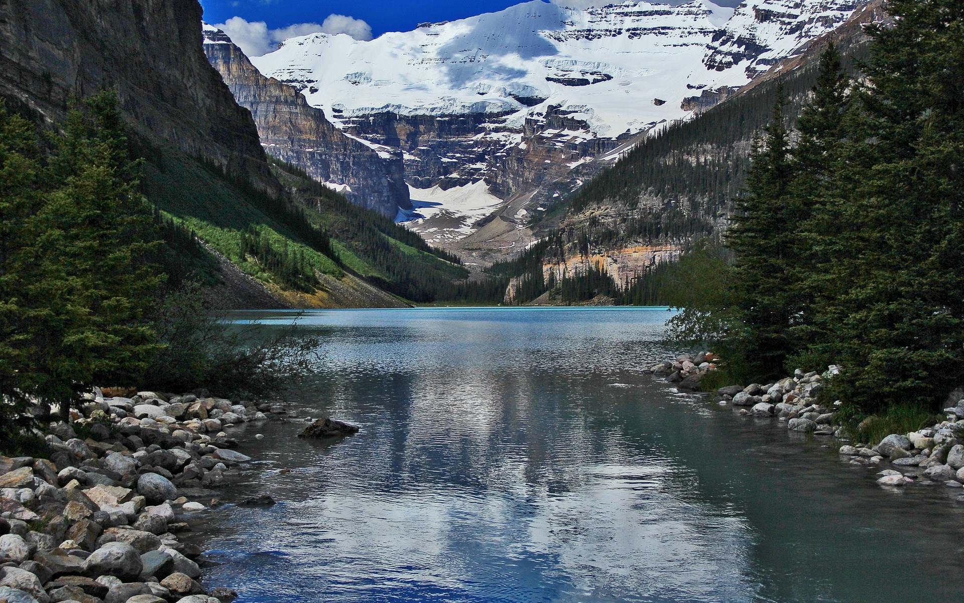 Lake Louise with snow-capped mountains and pine trees HD Wallpaper