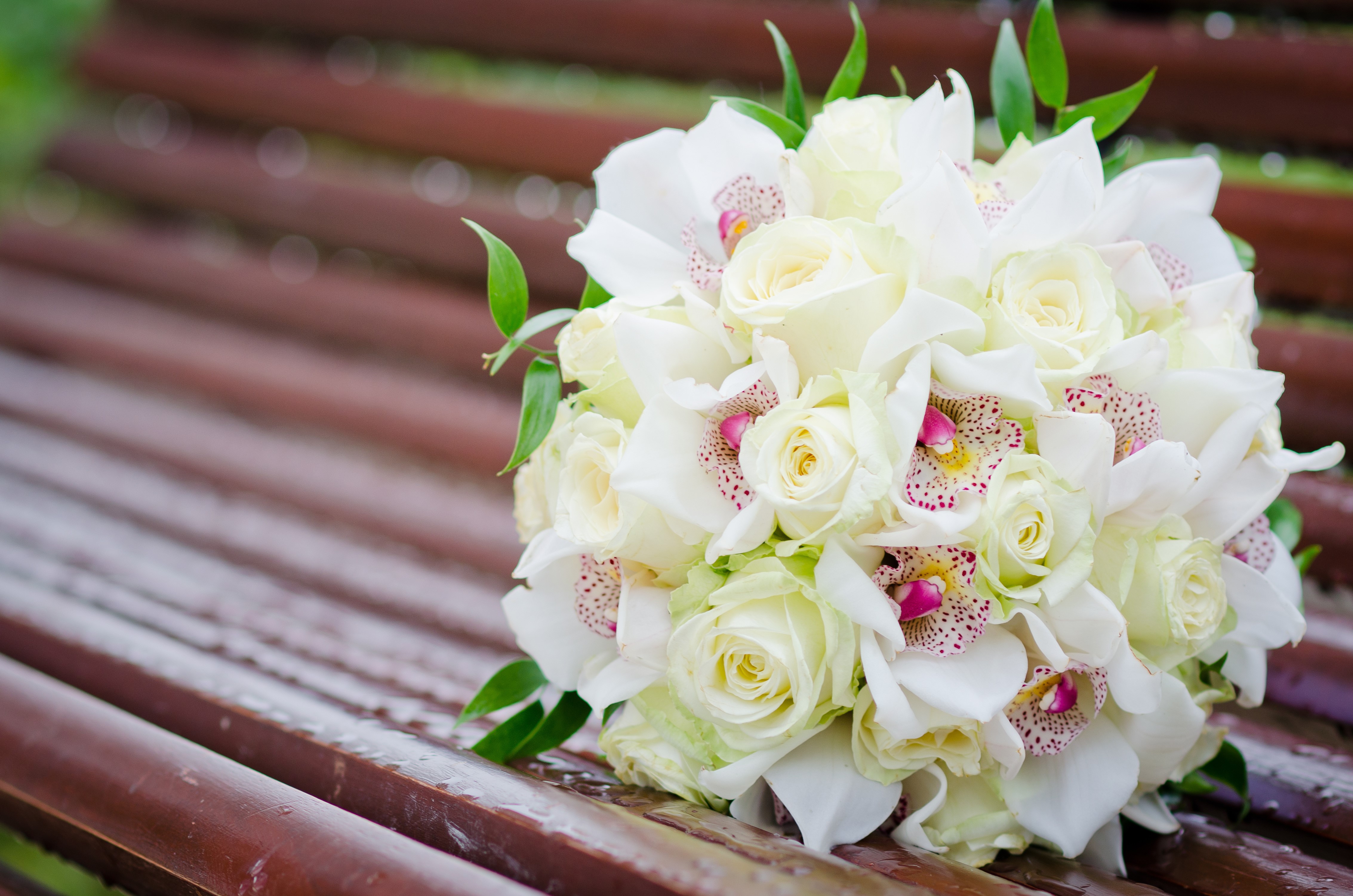 White Roses and Orchids Bouquet on a Bench HD Wallpaper