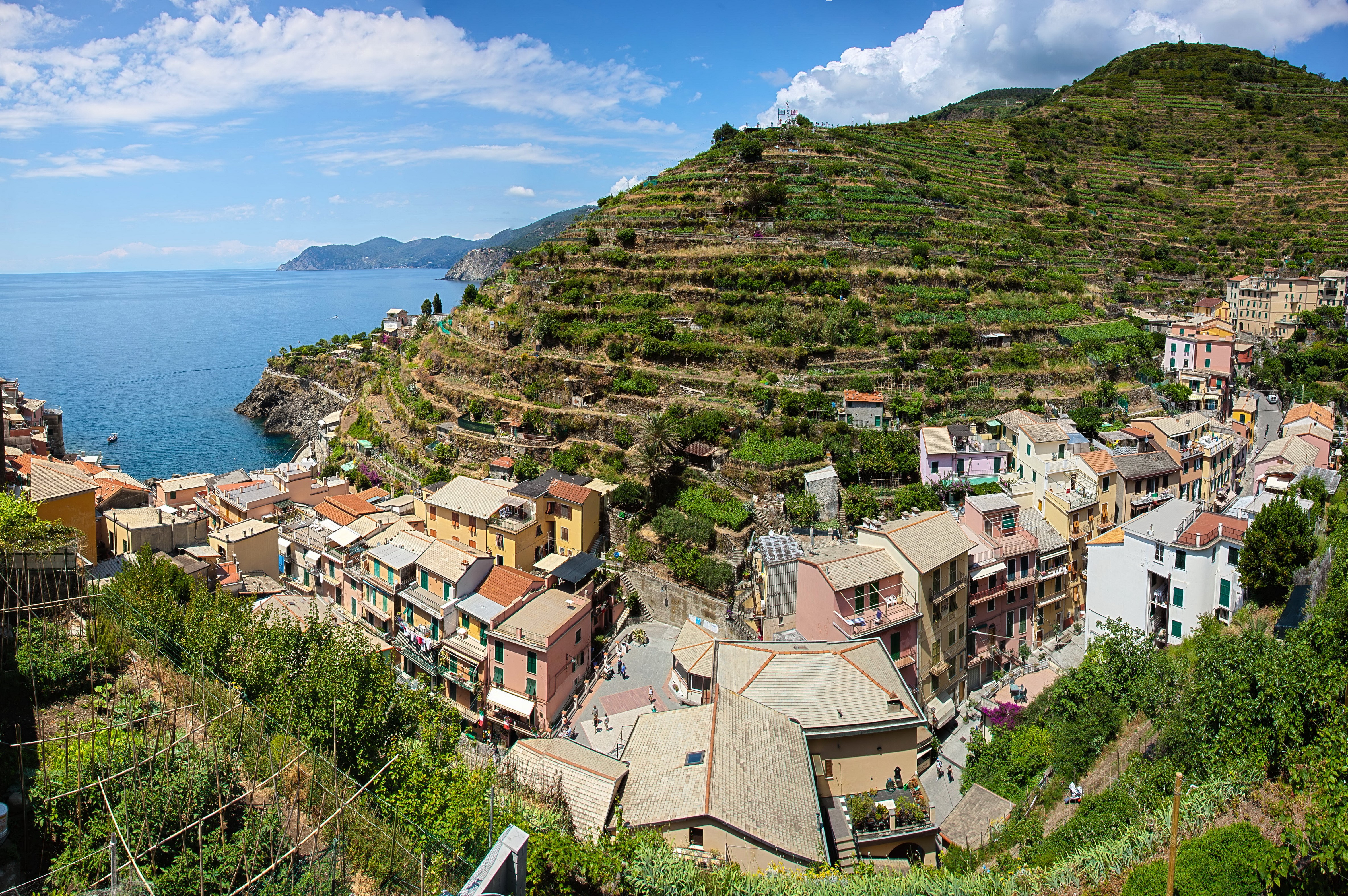 Manarola, Italy: Houses on Terraced Hillsides Overlooking the Sea HD Wallpaper