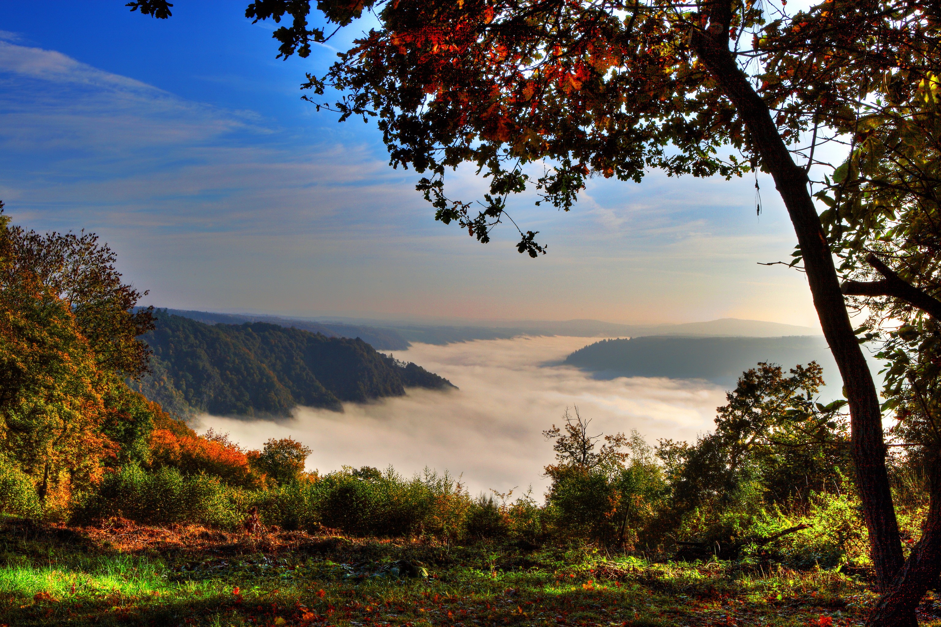 Foggy valley in Klotten, Germany during autumn HD Wallpaper