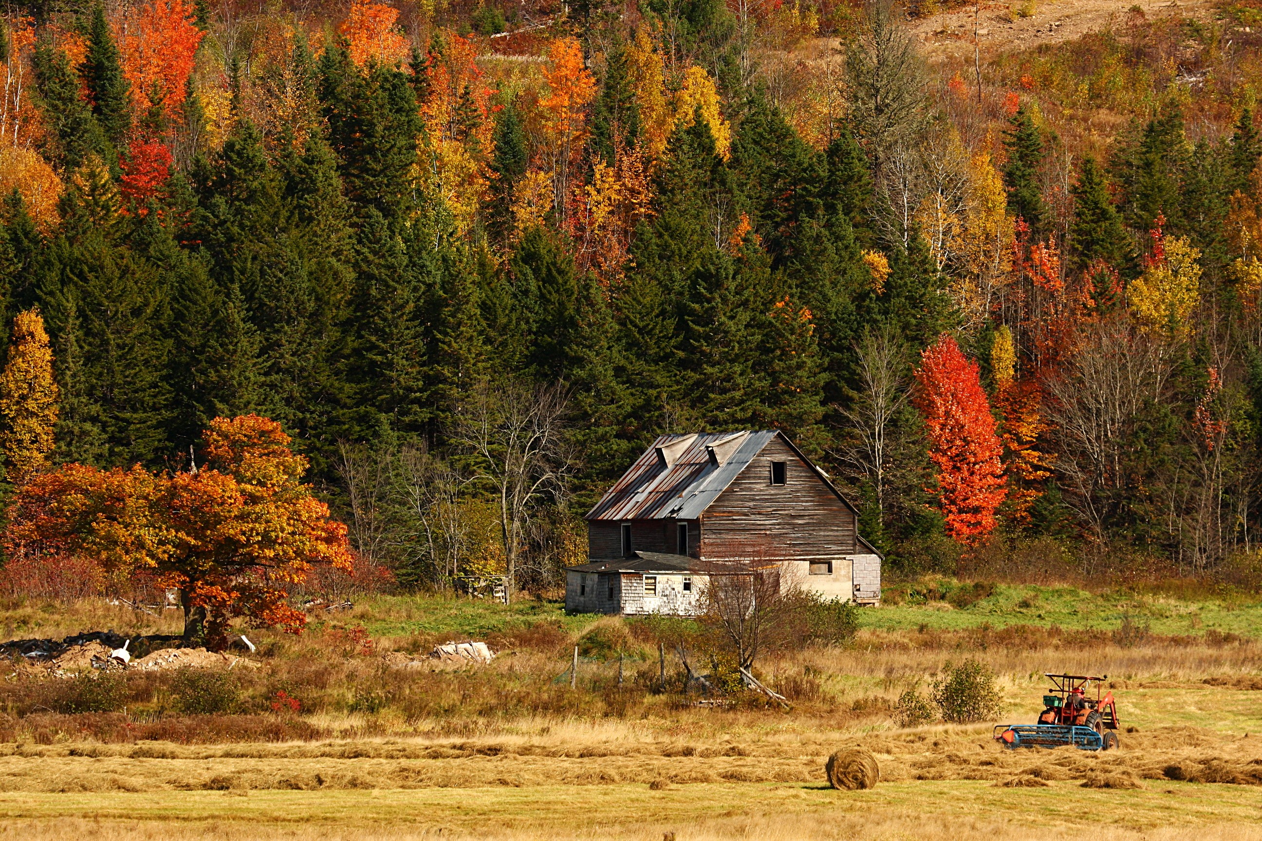 Barn in autumn forest with tractor in field HD Wallpaper