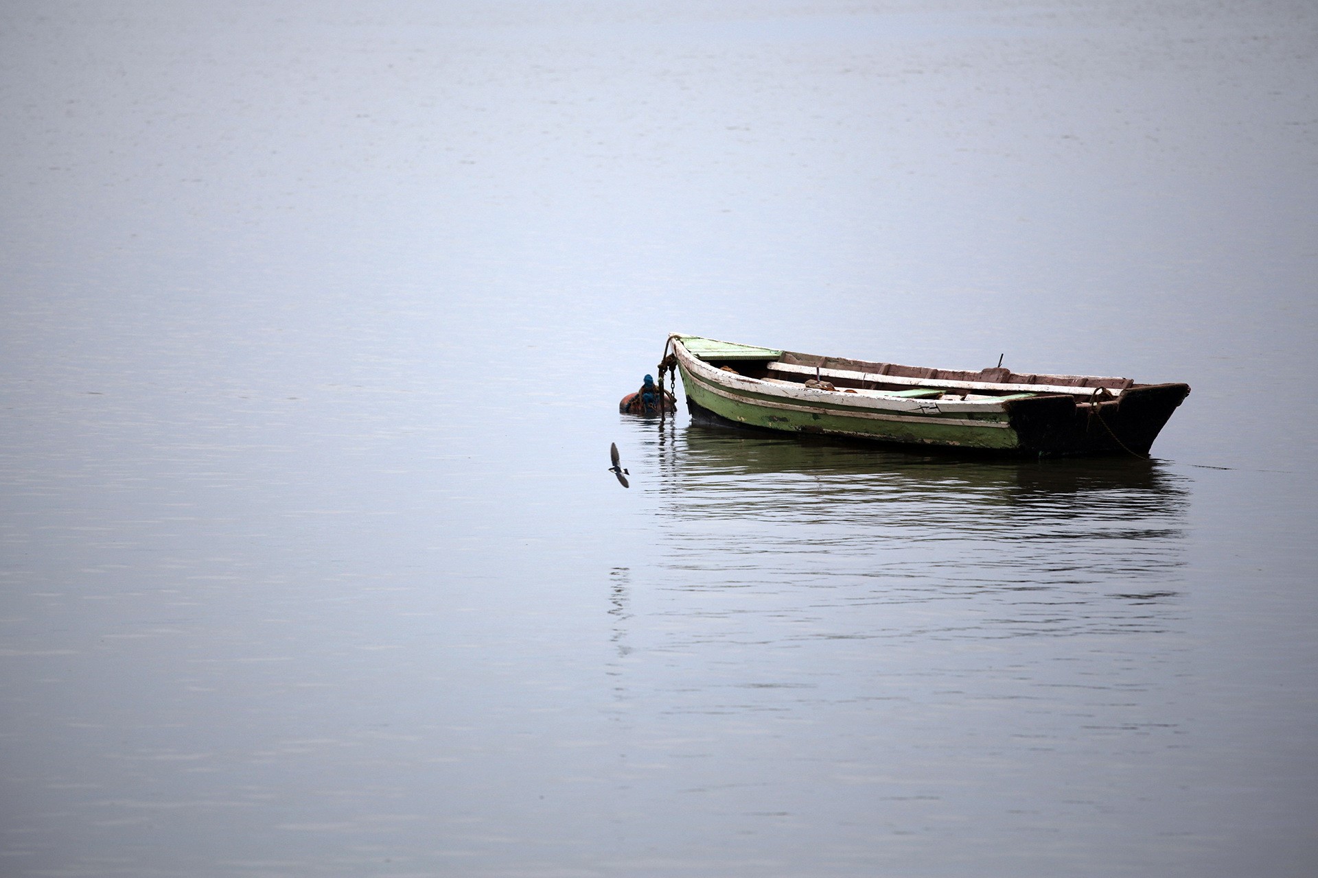 A lone green and white boat floats on calm water HD Wallpaper