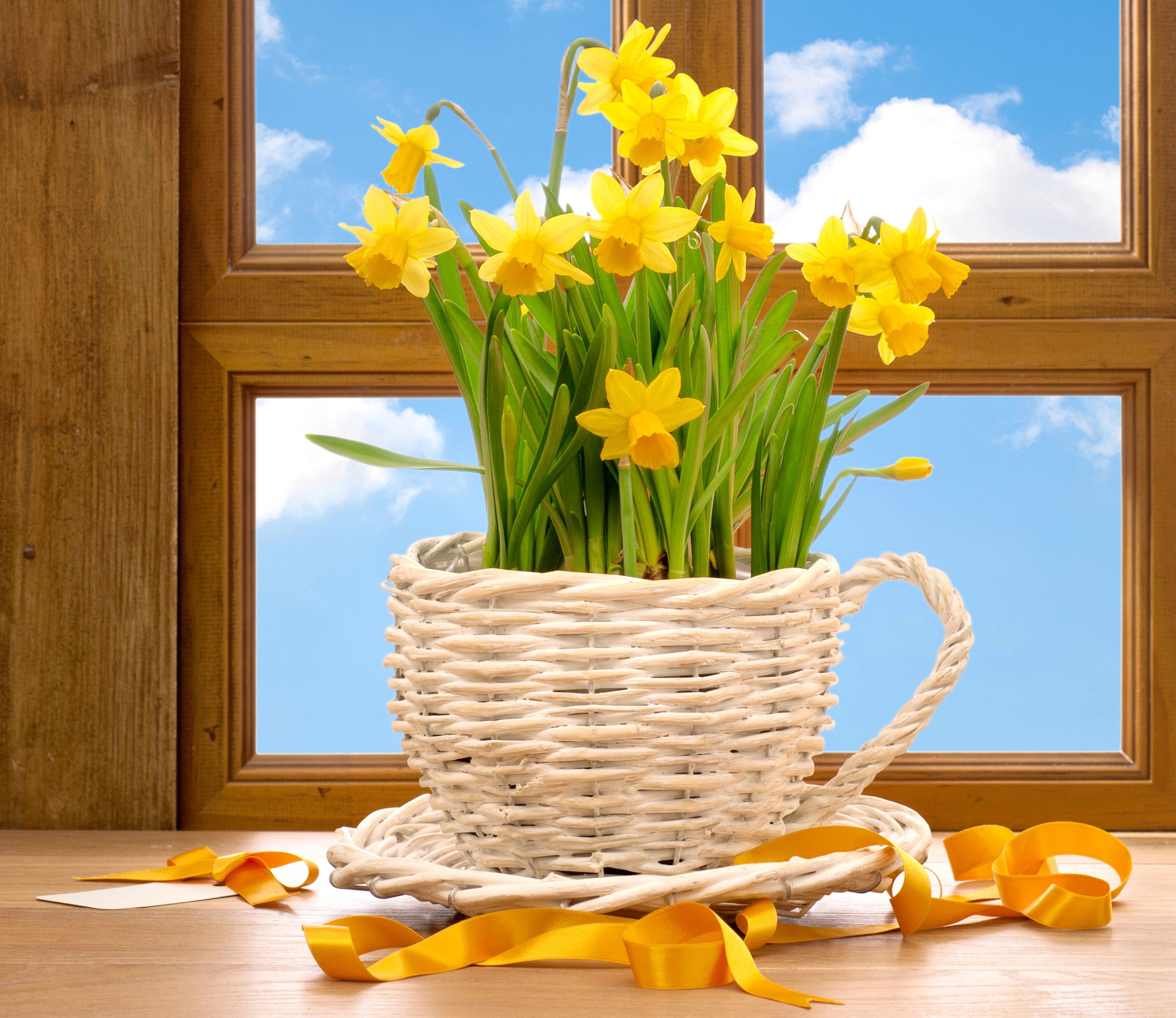 Yellow Daffodils in a Wicker Pot by a Window HD Wallpaper