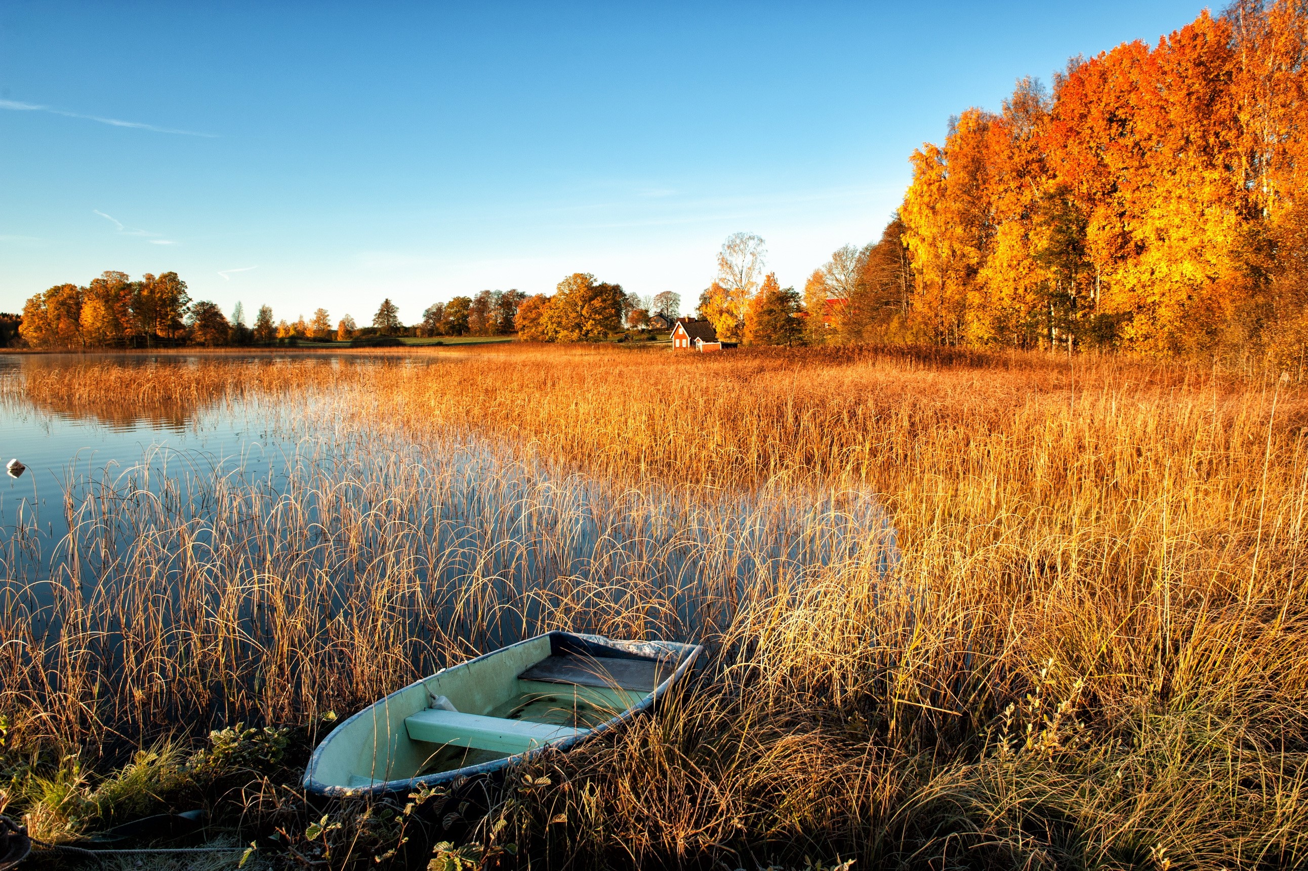 Boat on a lake with autumn trees and reeds HD Wallpaper