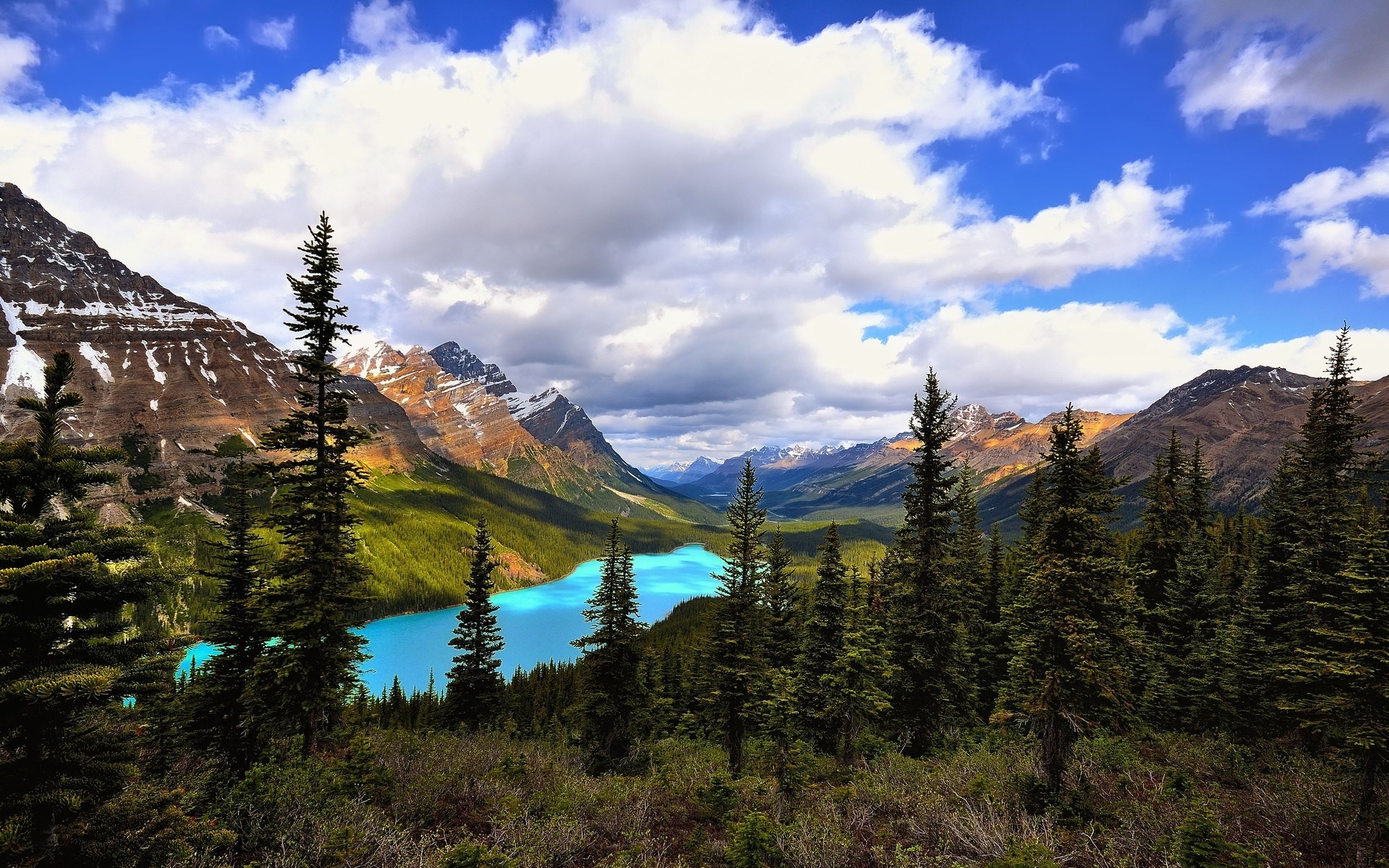 Turquoise lake and mountains with pine trees HD Wallpaper