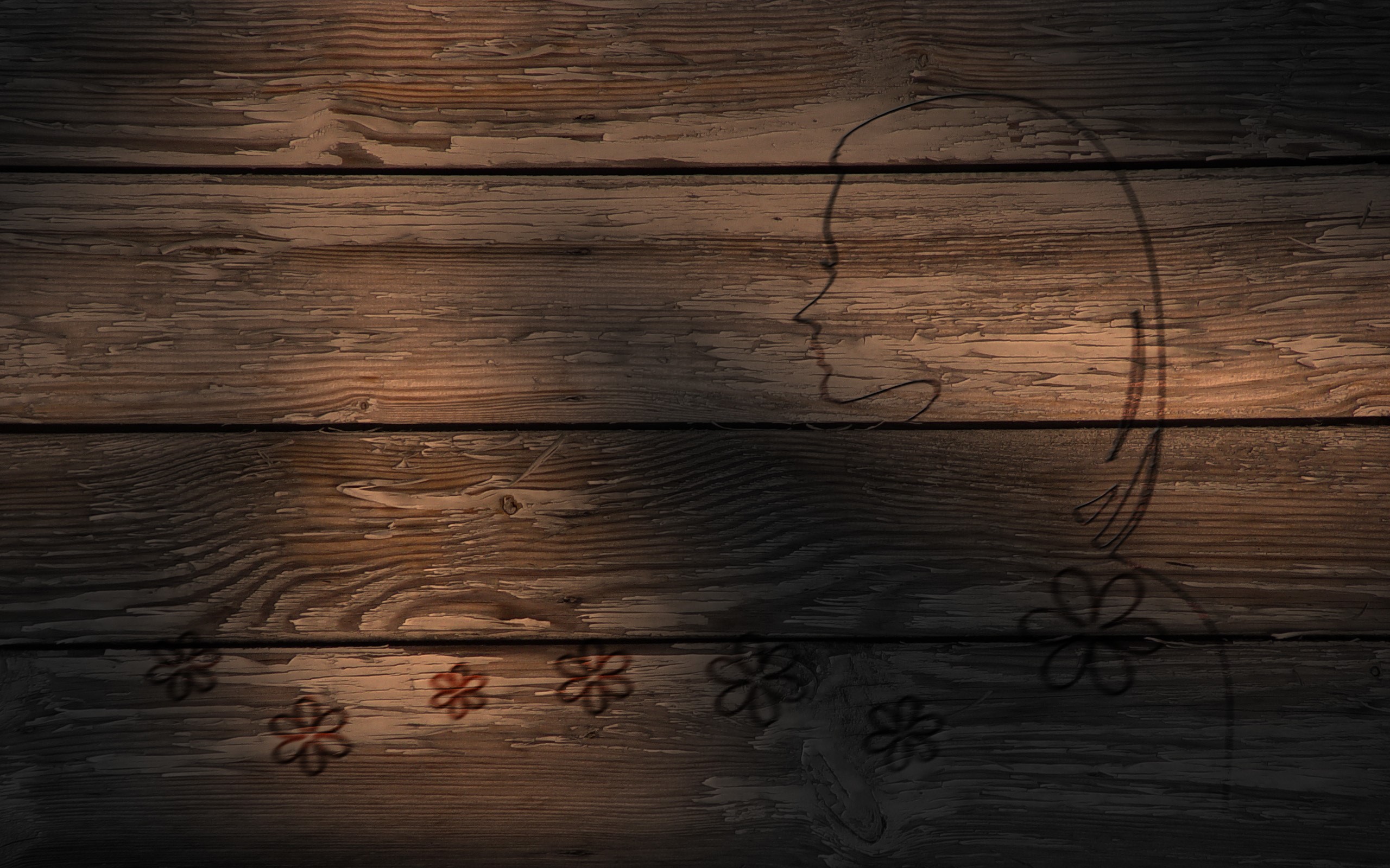 Silhouette of a woman's profile and flowers on wood planks HD Wallpaper