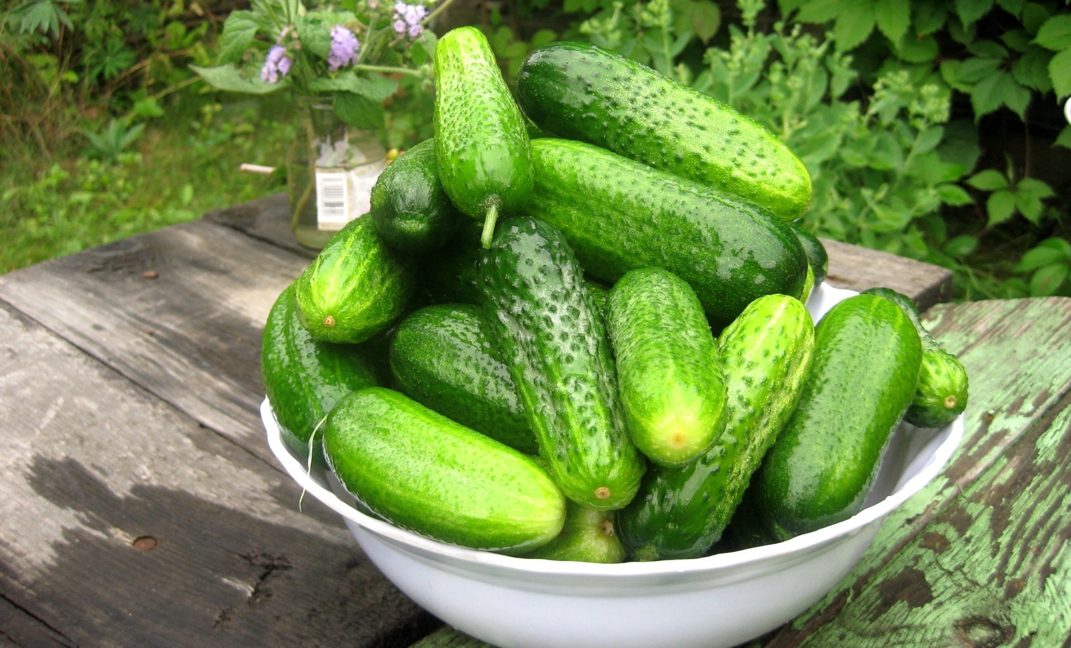 Bowl of fresh cucumbers on a wooden table HD Wallpaper