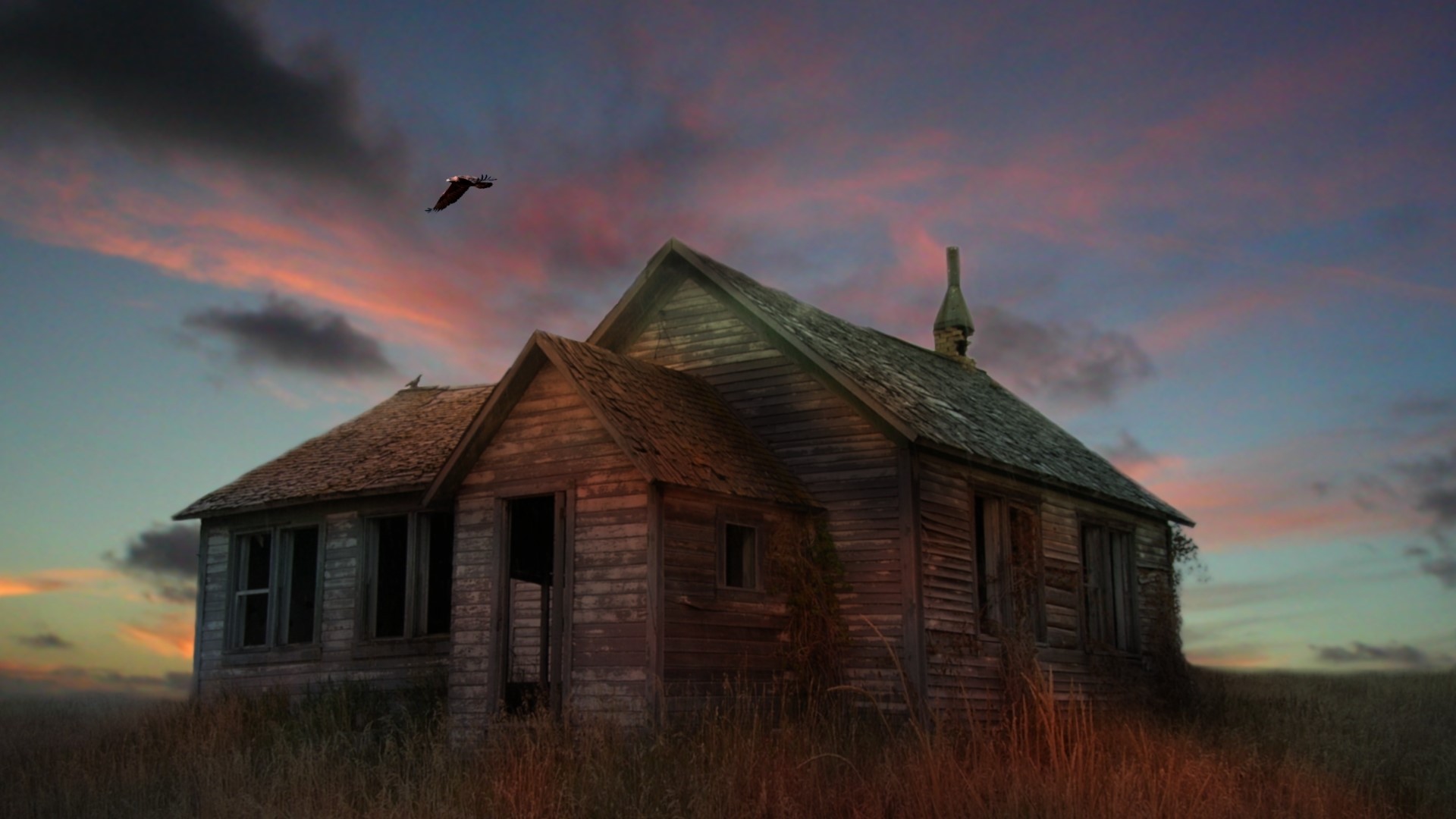 Abandoned wooden house at sunset with bird flying HD Wallpaper