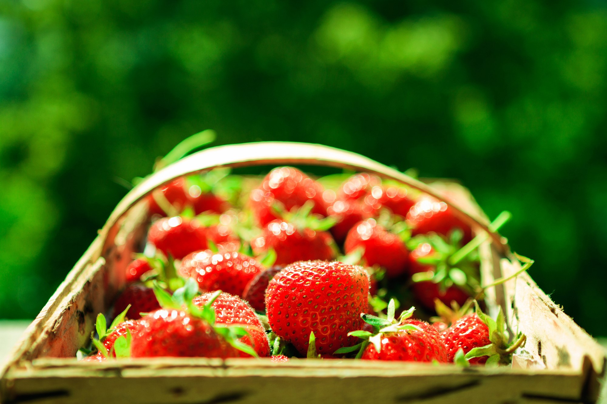 Basket of fresh strawberries HD Wallpaper