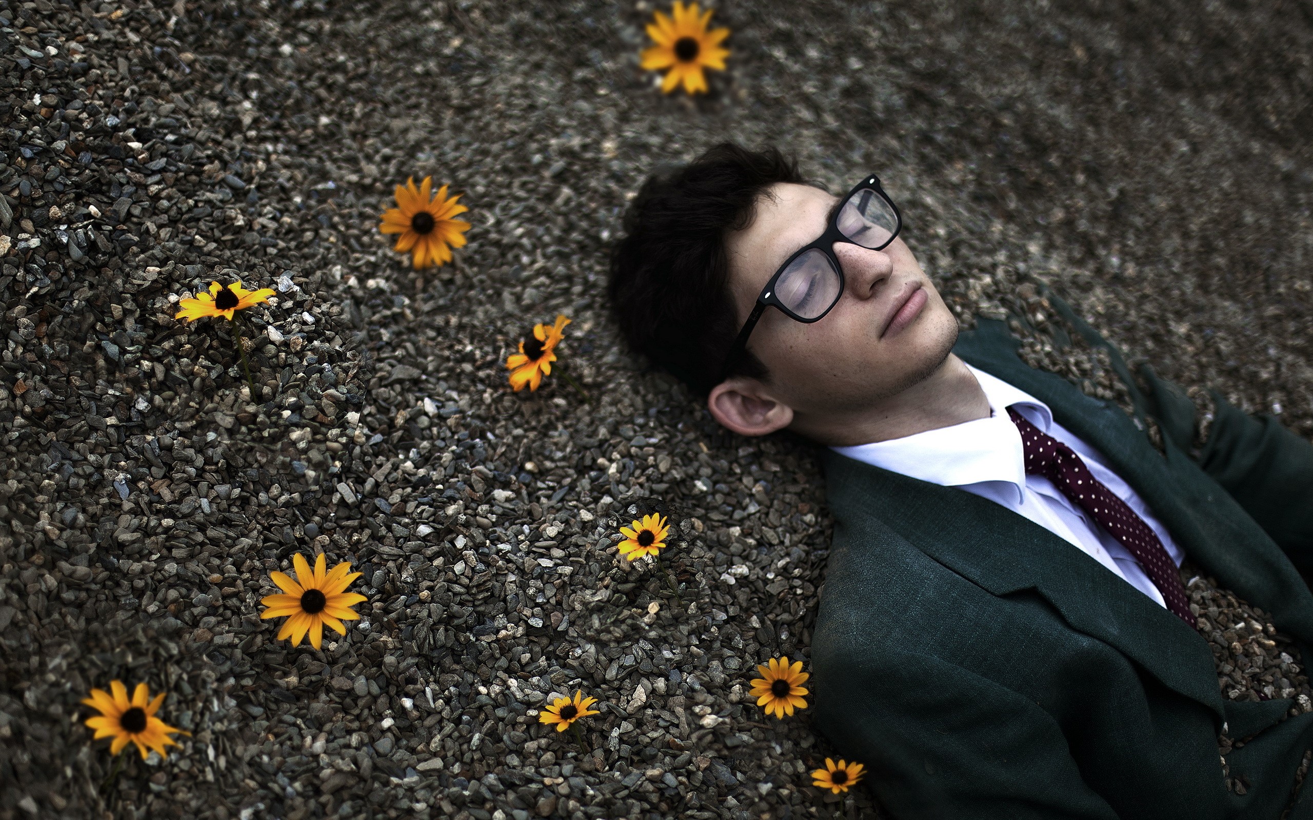 Man in Suit Sleeping Among Flowers and Stones HD Wallpaper