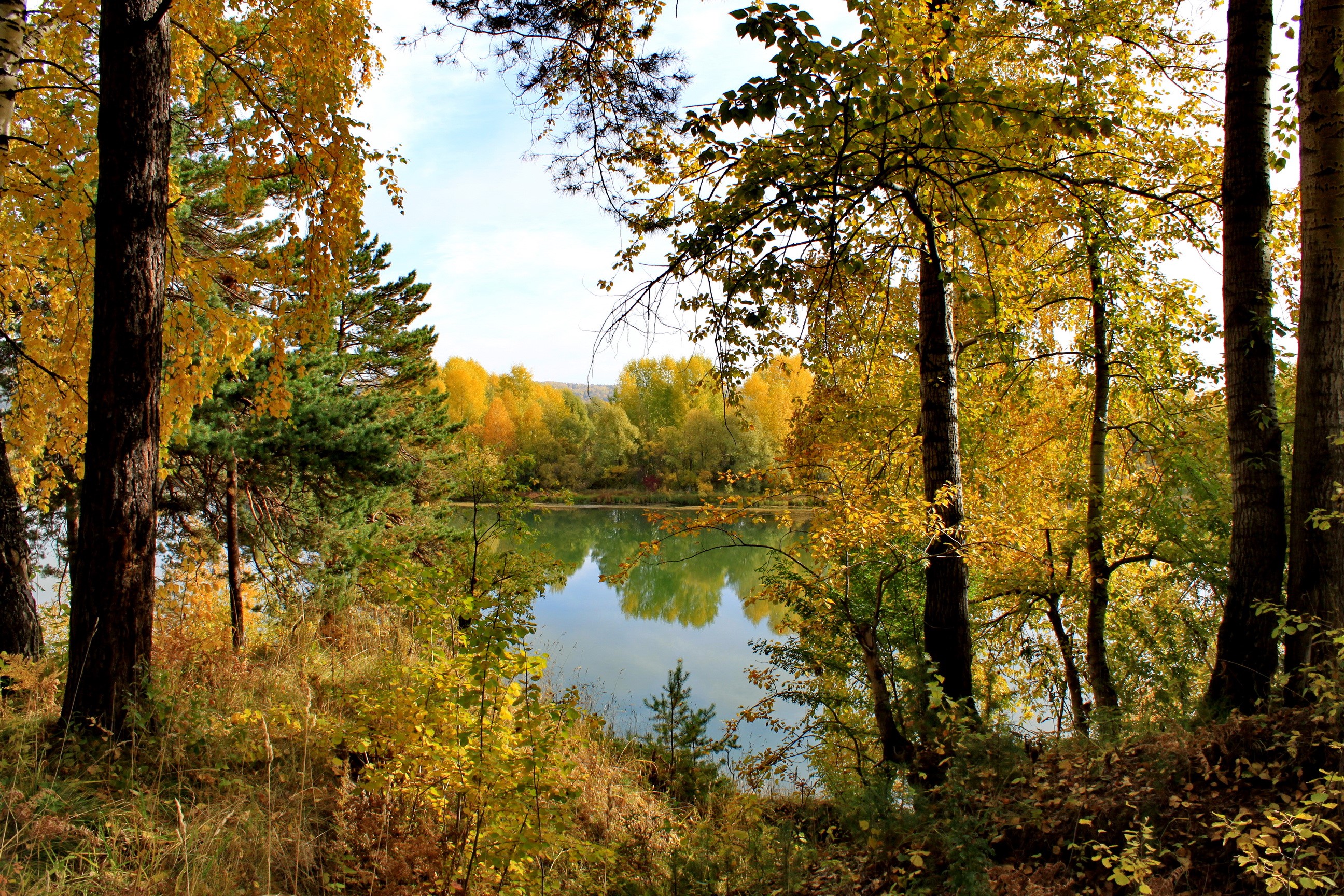 Autumn forest scenery with a lake in Russia HD Wallpaper