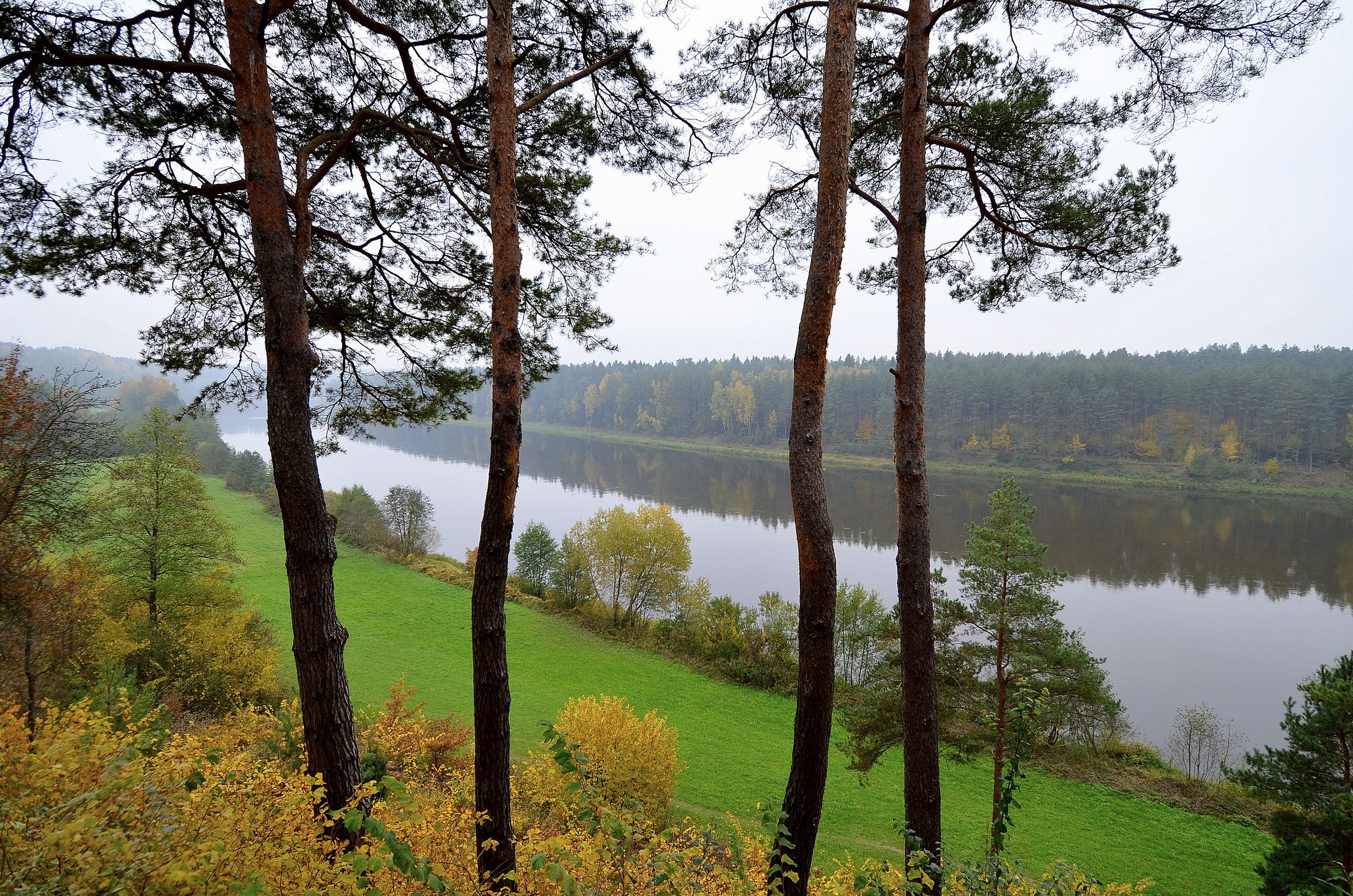 River and forest in Birstonas, Lithuania during autumn HD Wallpaper