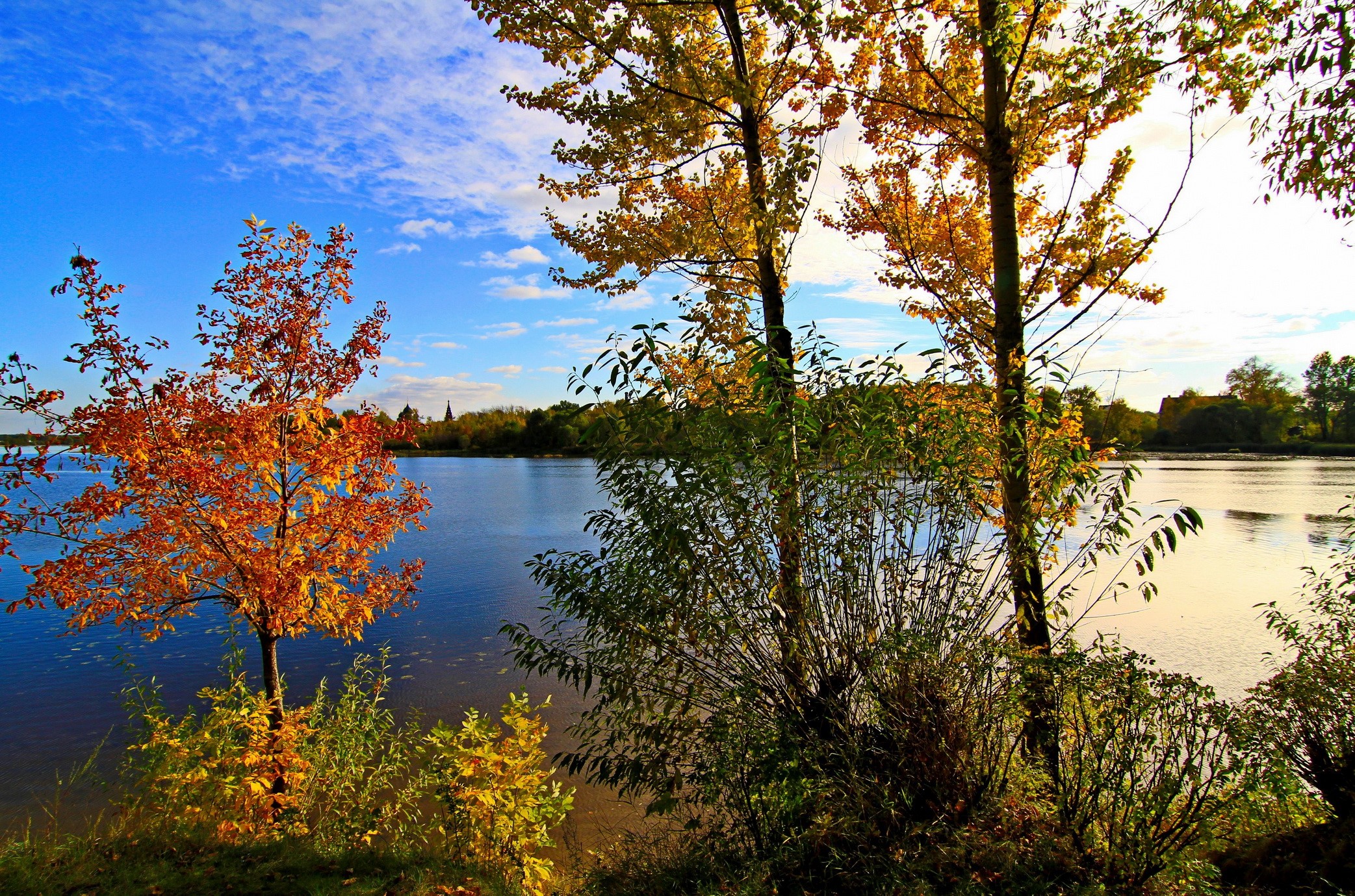Autumn trees by the river in Russia HD Wallpaper