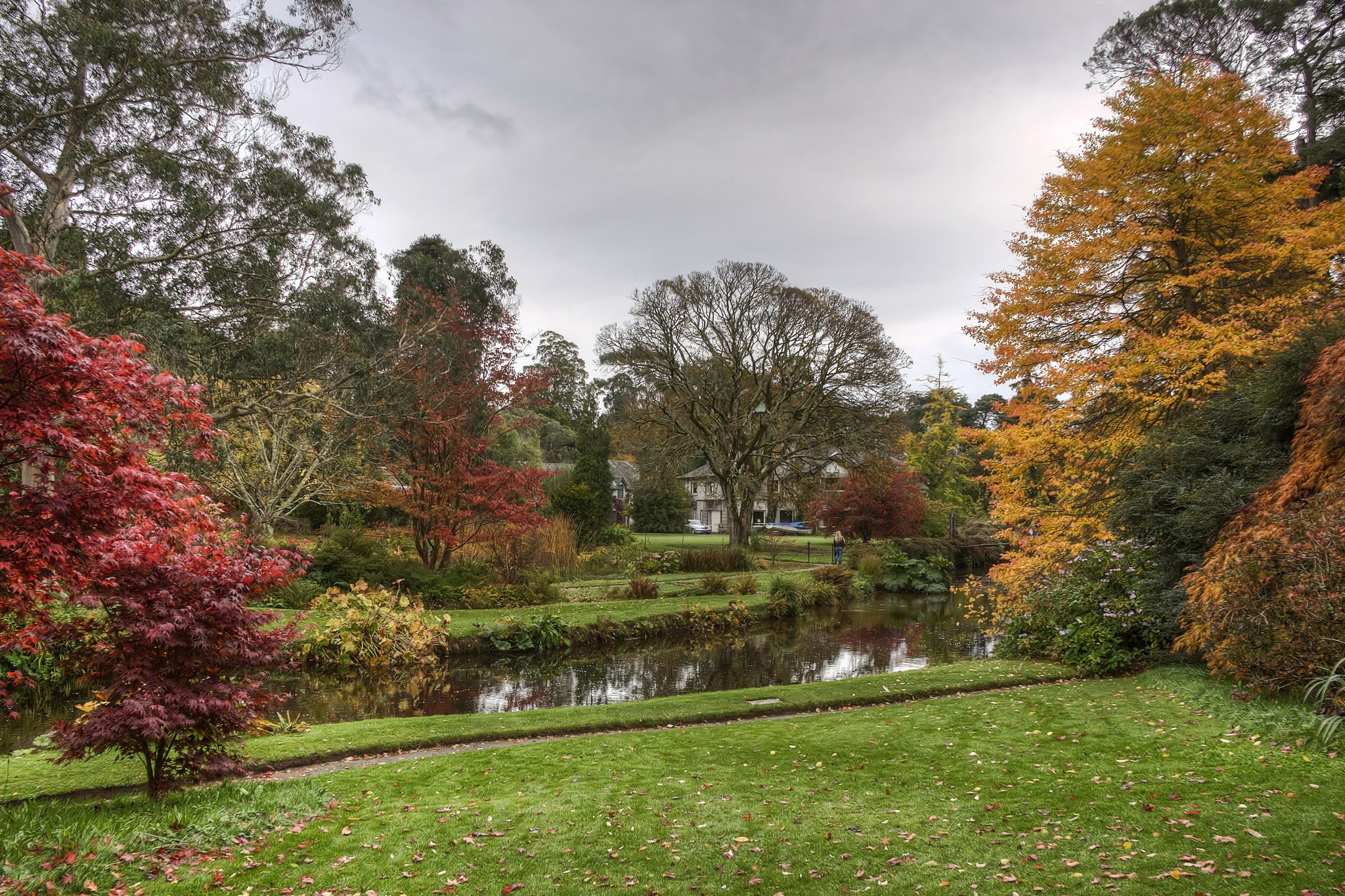 Mount Usher Gardens with pond and autumn trees HD Wallpaper