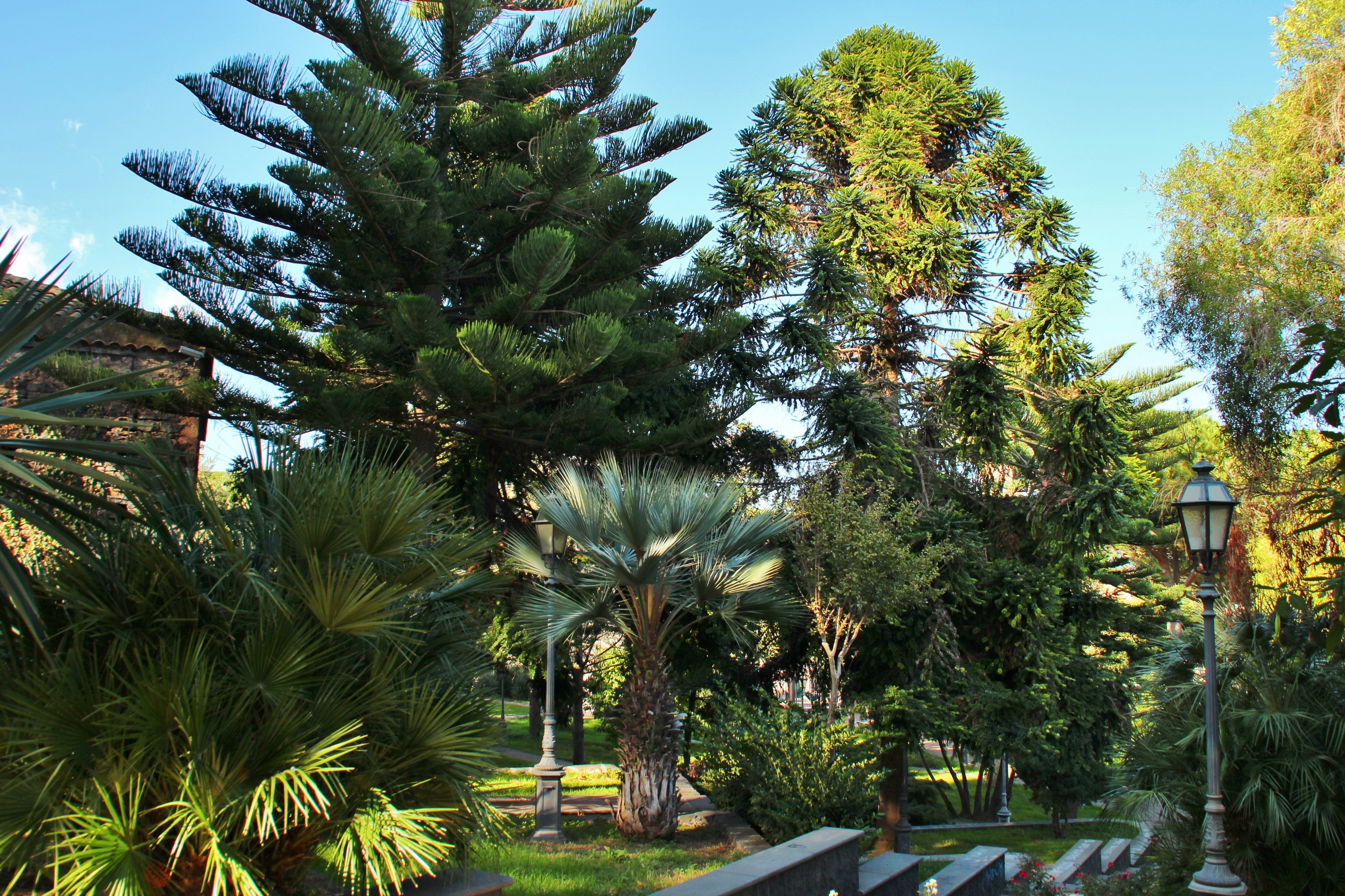 Park in Viagrande, Sicilia, Italy HD Wallpaper