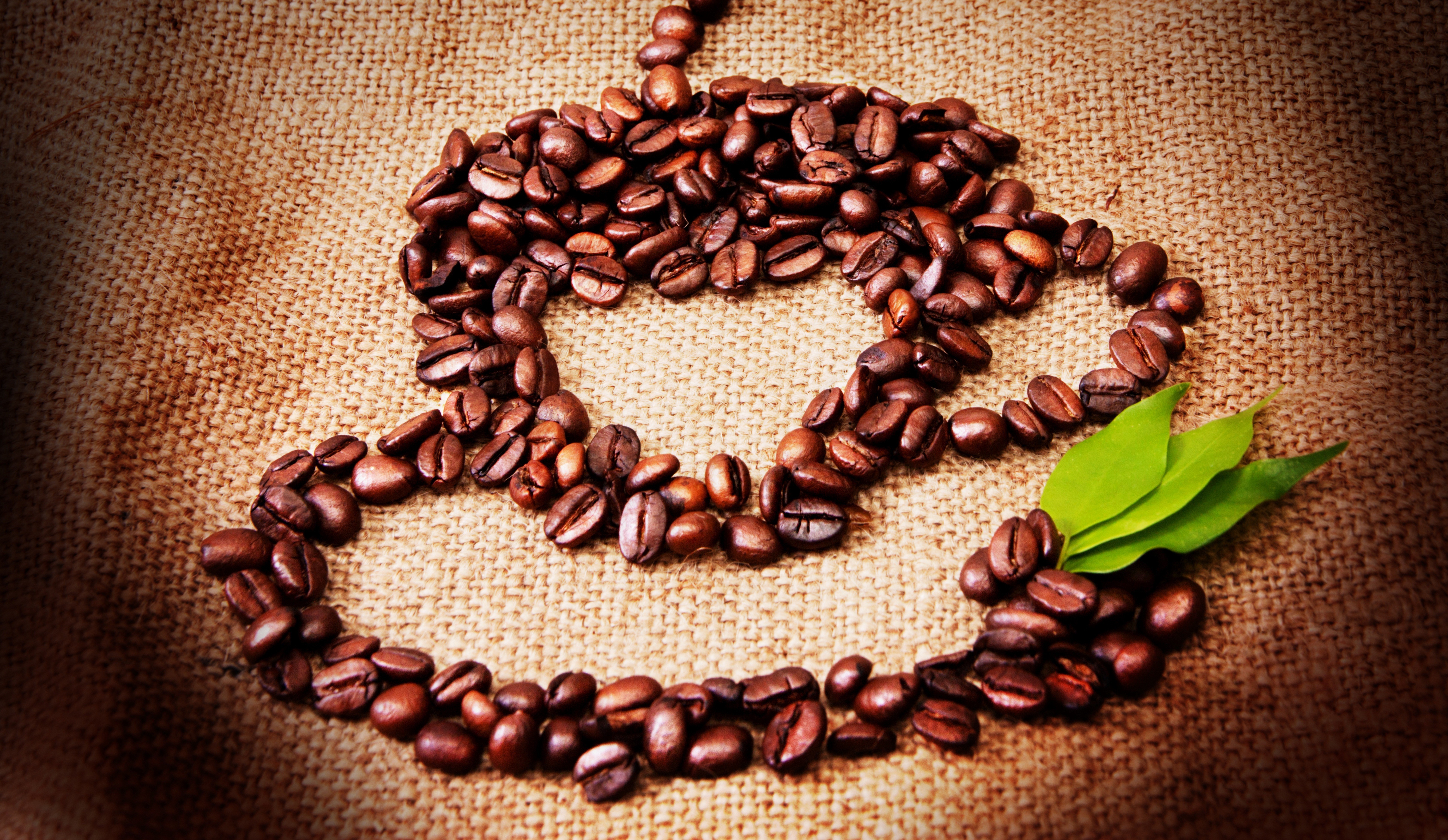 Coffee beans arranged in a heart shape with leaves HD Wallpaper