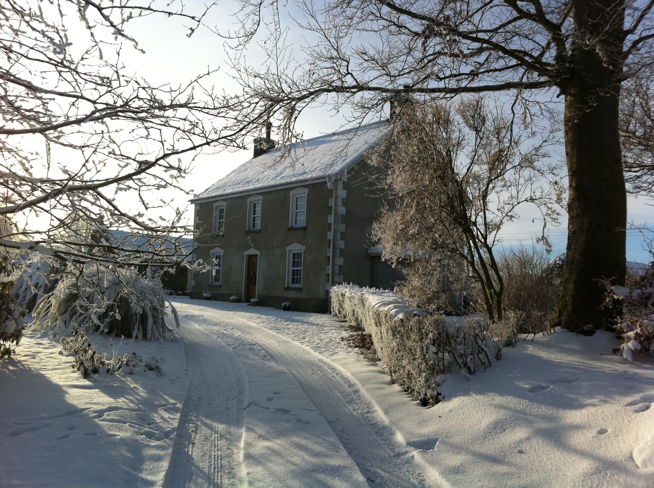 Snowy winter scene with a house and trees HD Wallpaper