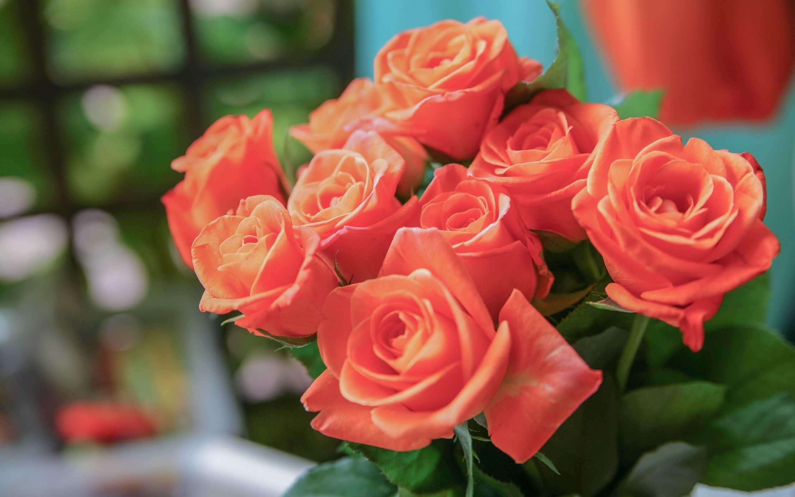 Bouquet of Orange Roses HD Wallpaper