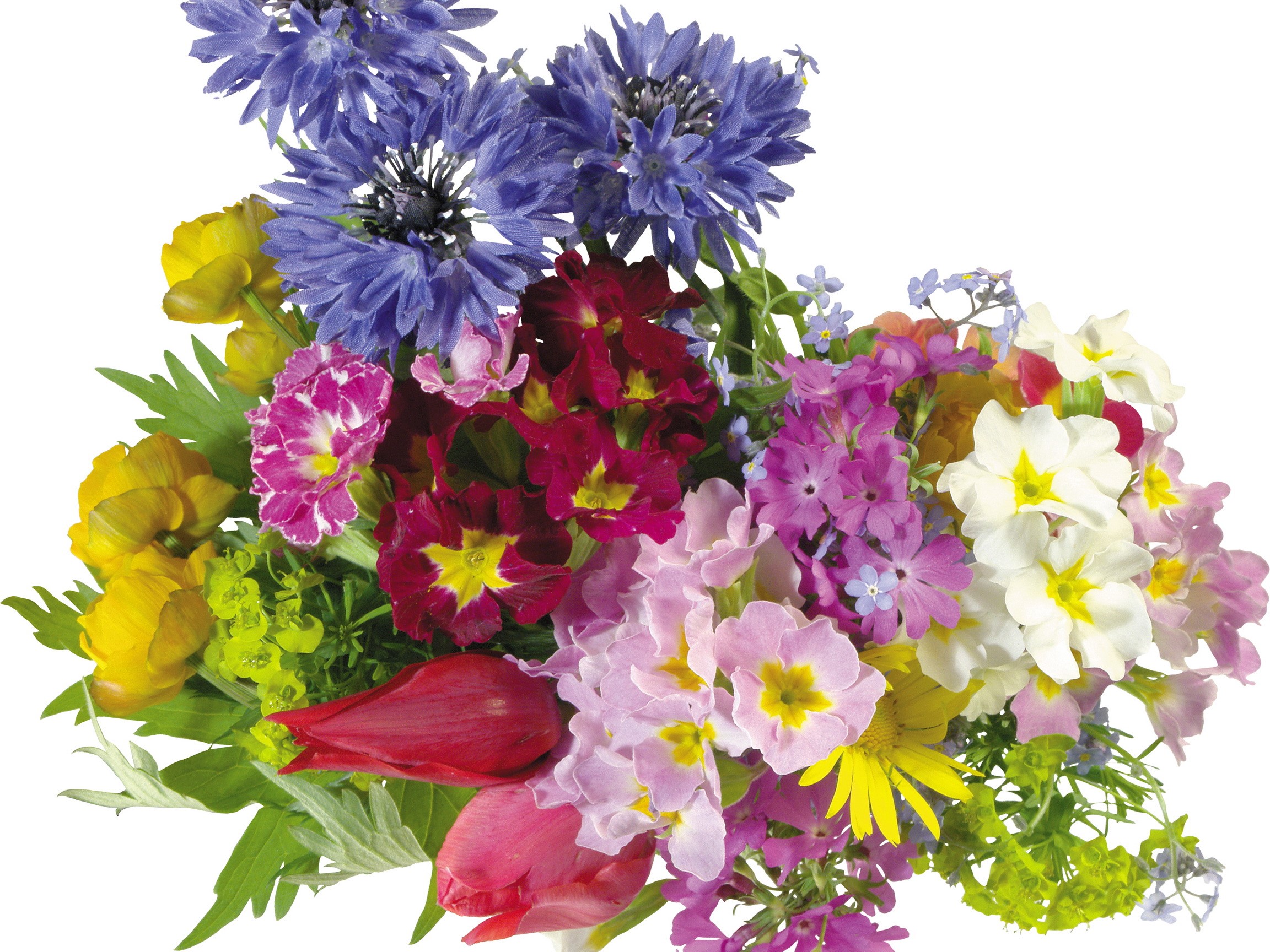 A colorful bouquet of spring flowers HD Wallpaper