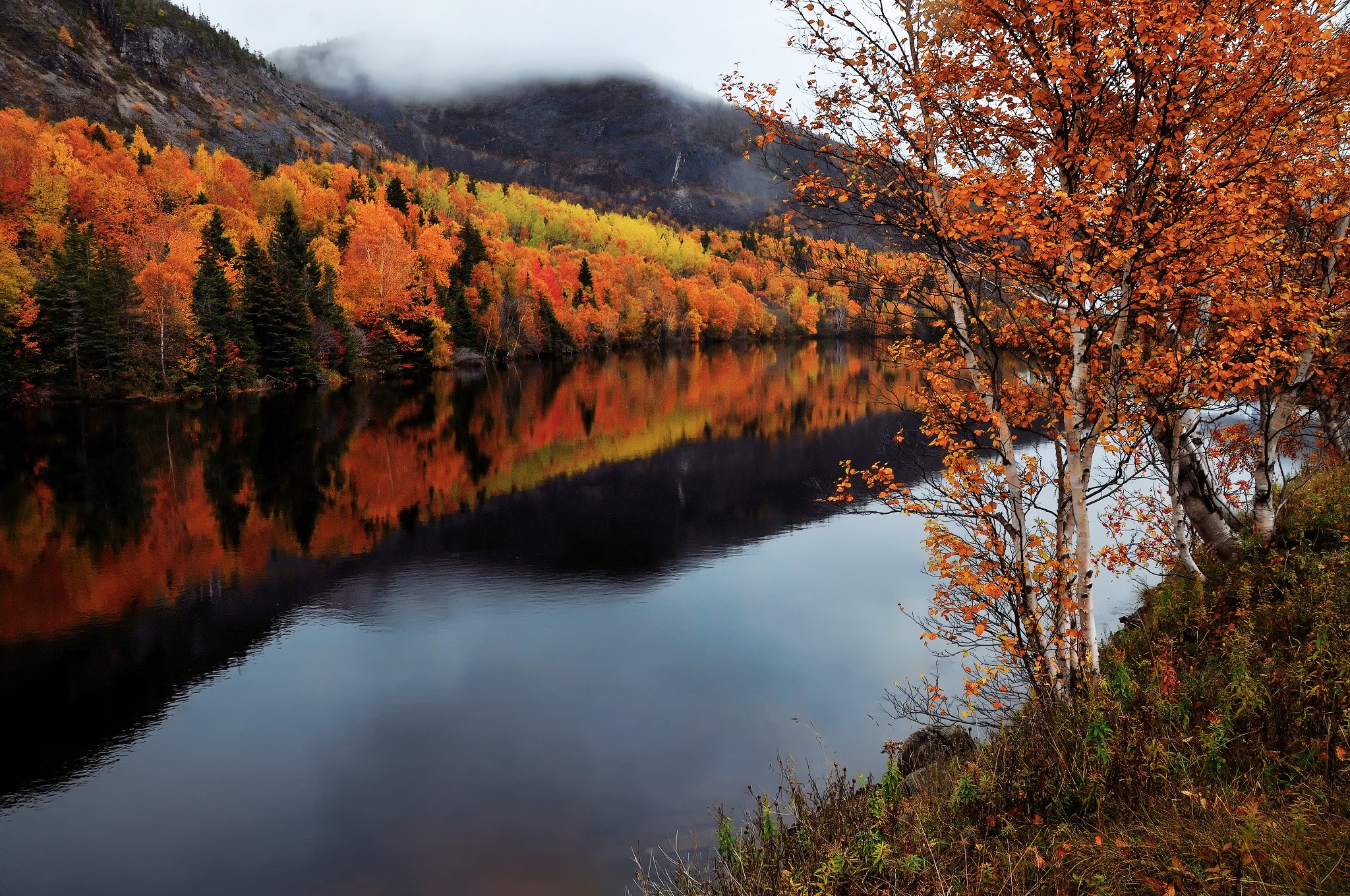 Autumn foliage reflected in a lake in Humber, Newfoundland and Labrador HD Wallpaper
