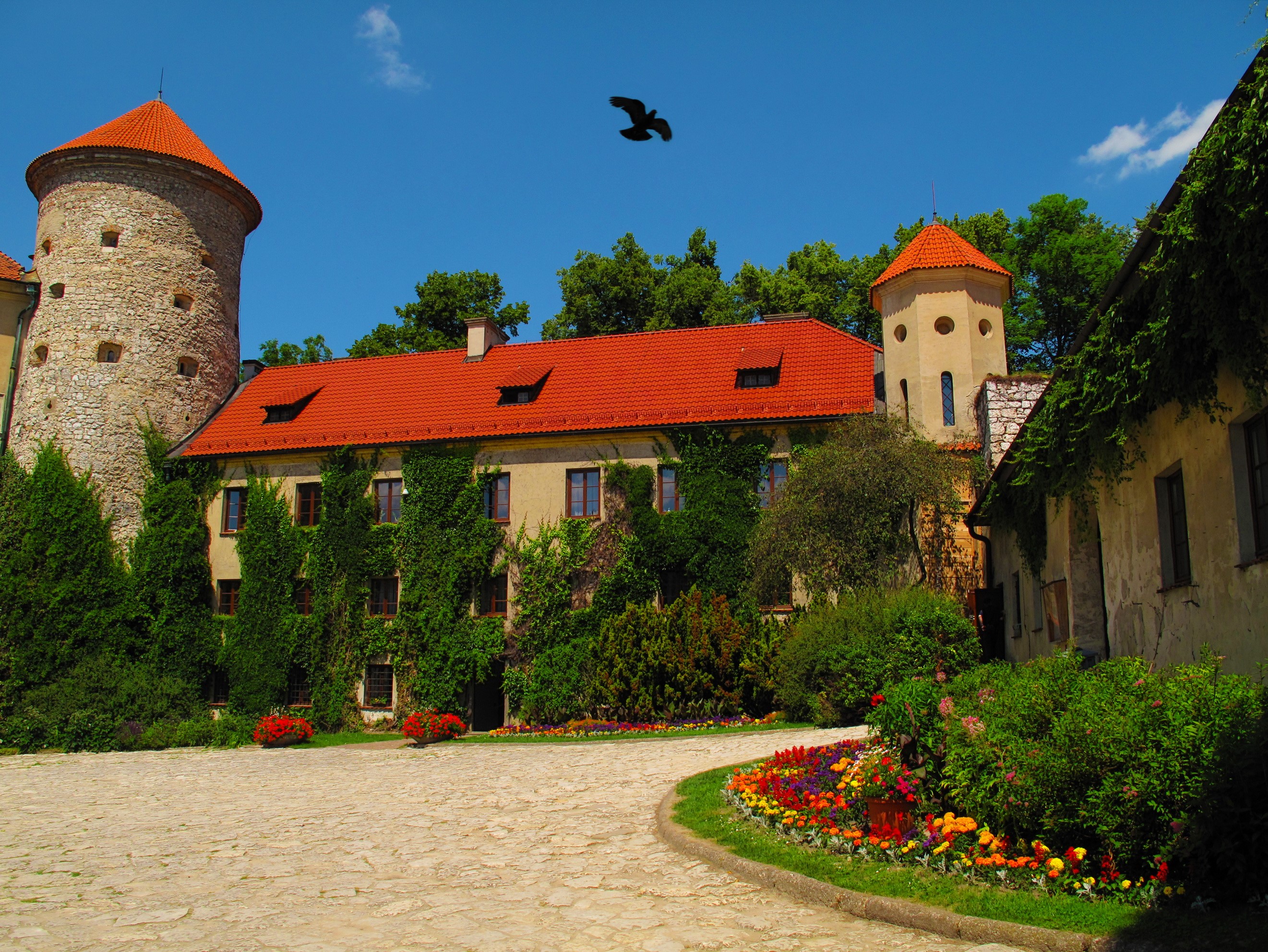 Castle with red roofs and a bird flying in Poland HD Wallpaper
