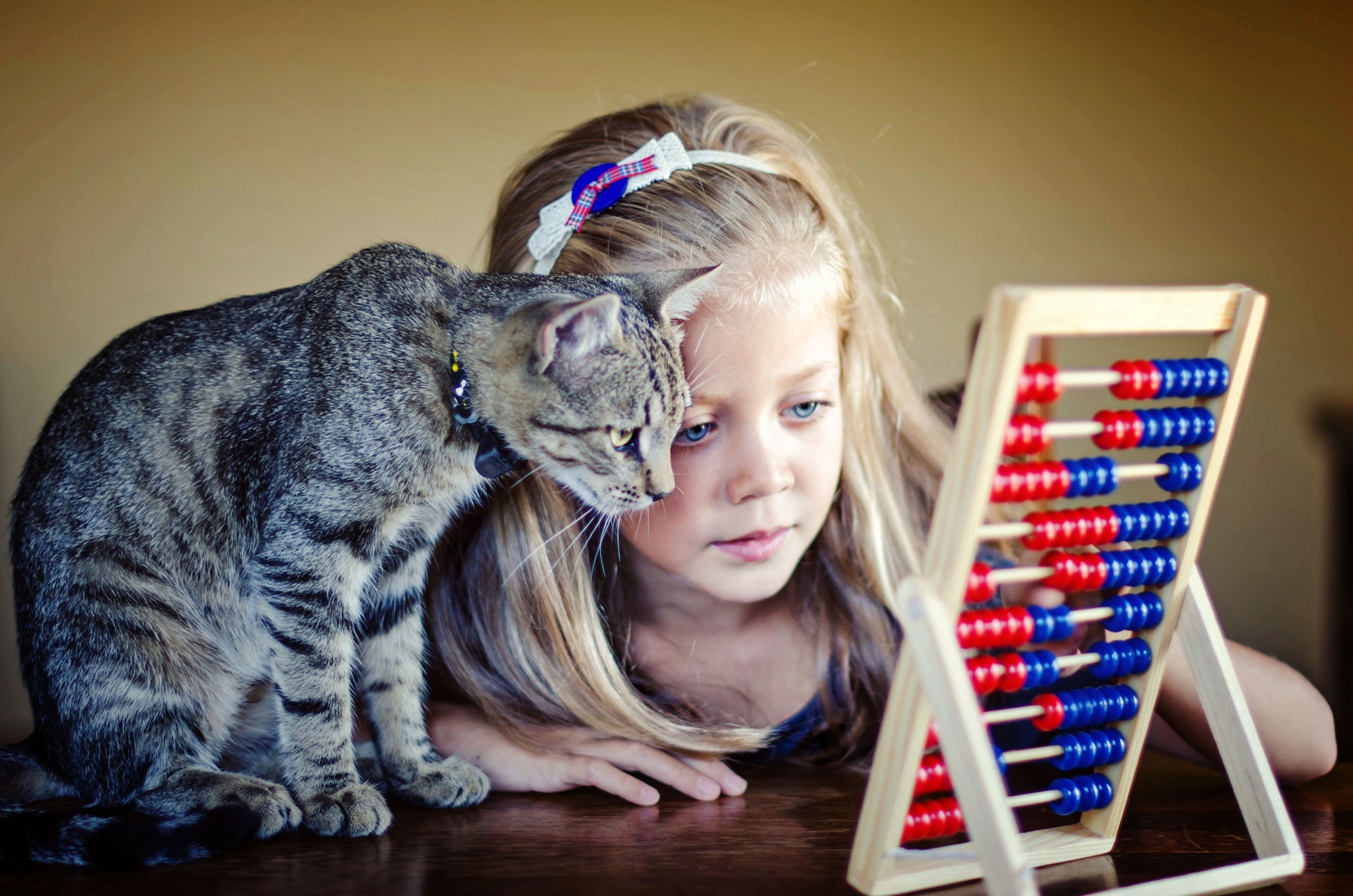 Girl and cat with abacus HD Wallpaper