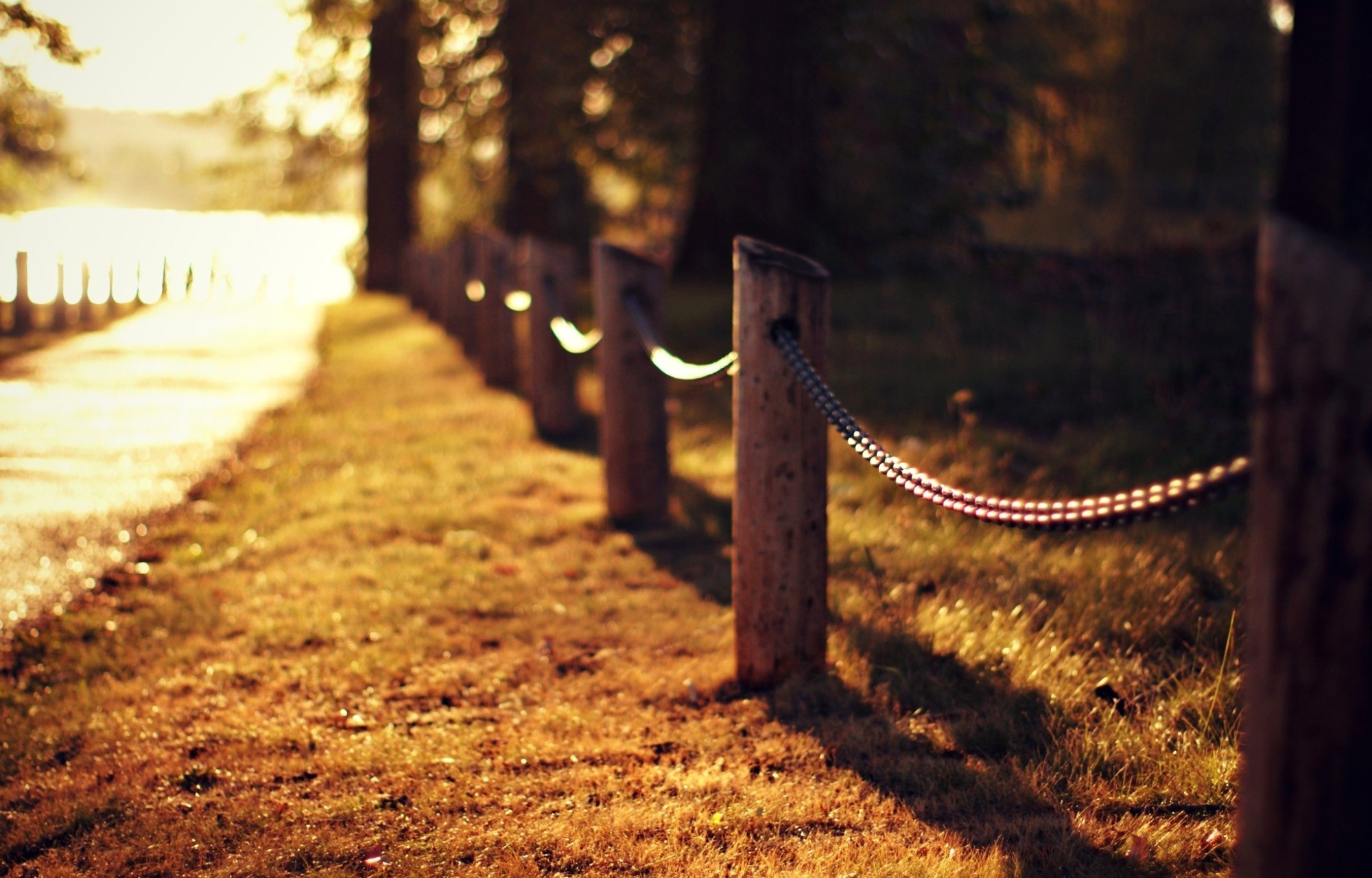 Wooden fence with chain along a path HD Wallpaper