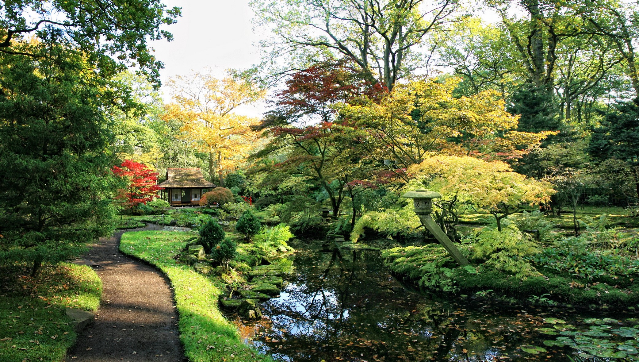 Japanese garden with a pond and a small house in Den Haag HD Wallpaper