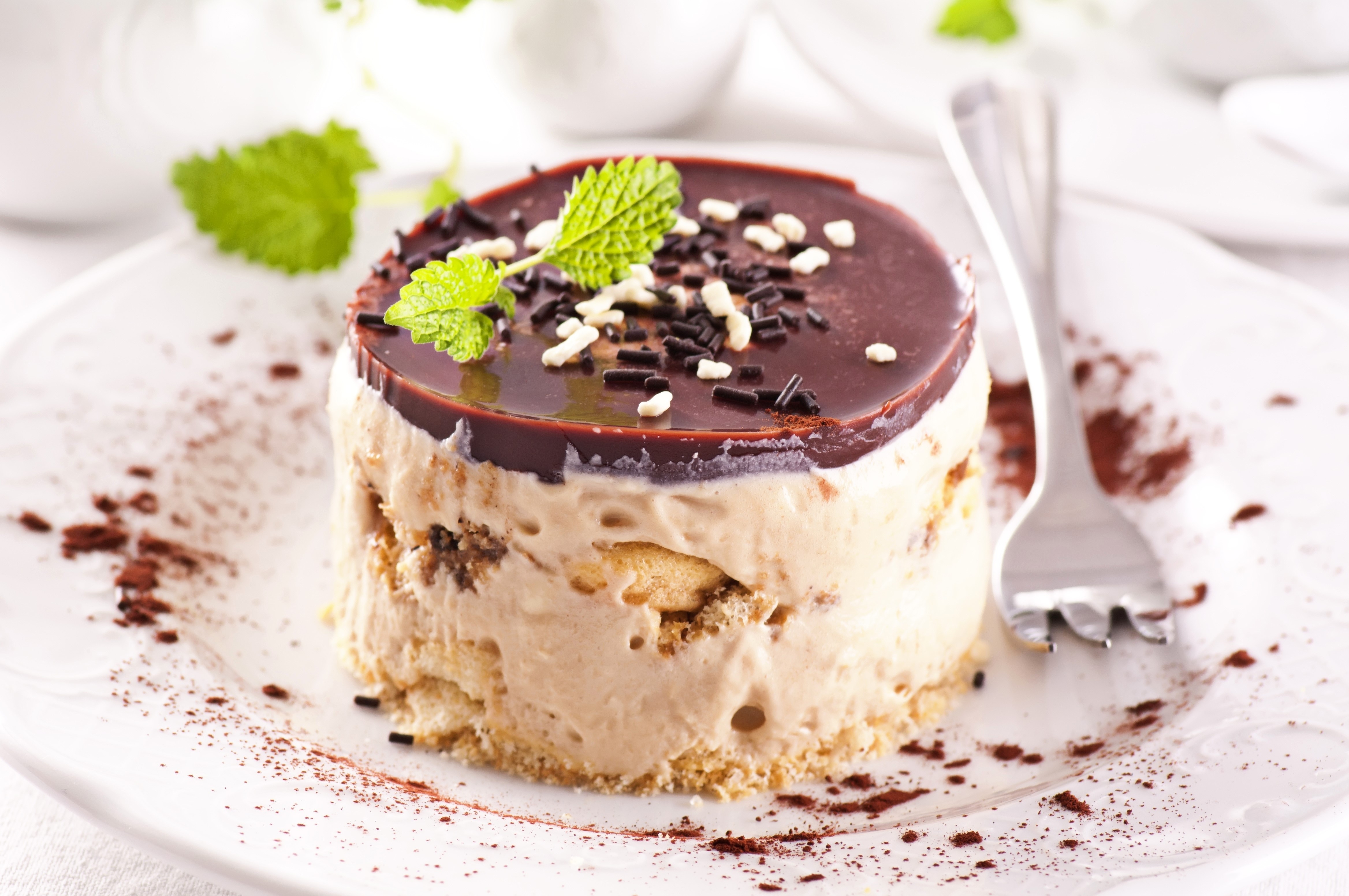 Chocolate layered dessert with mint and sprinkles HD Wallpaper