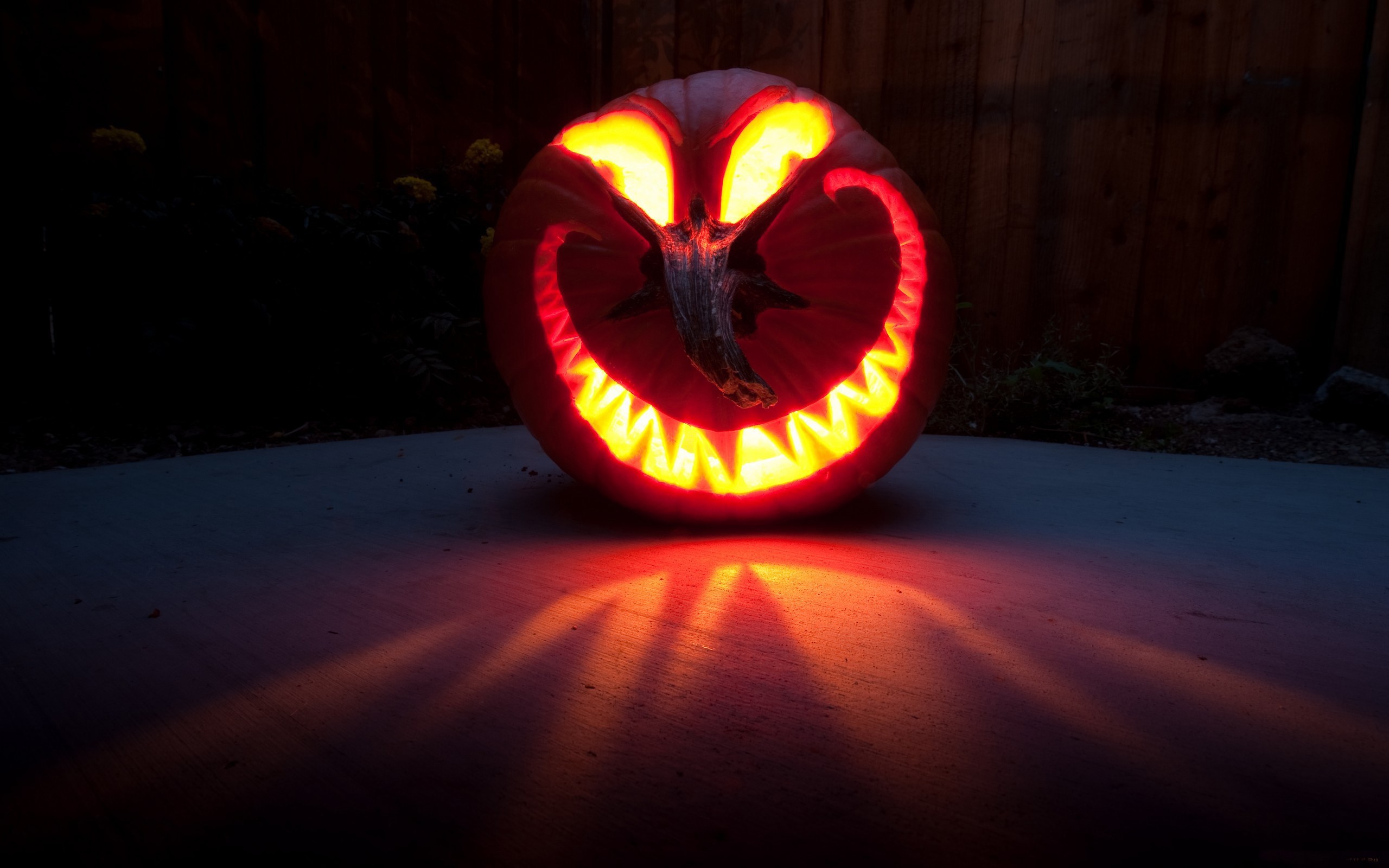 Carved Halloween pumpkin with glowing face at night HD Wallpaper
