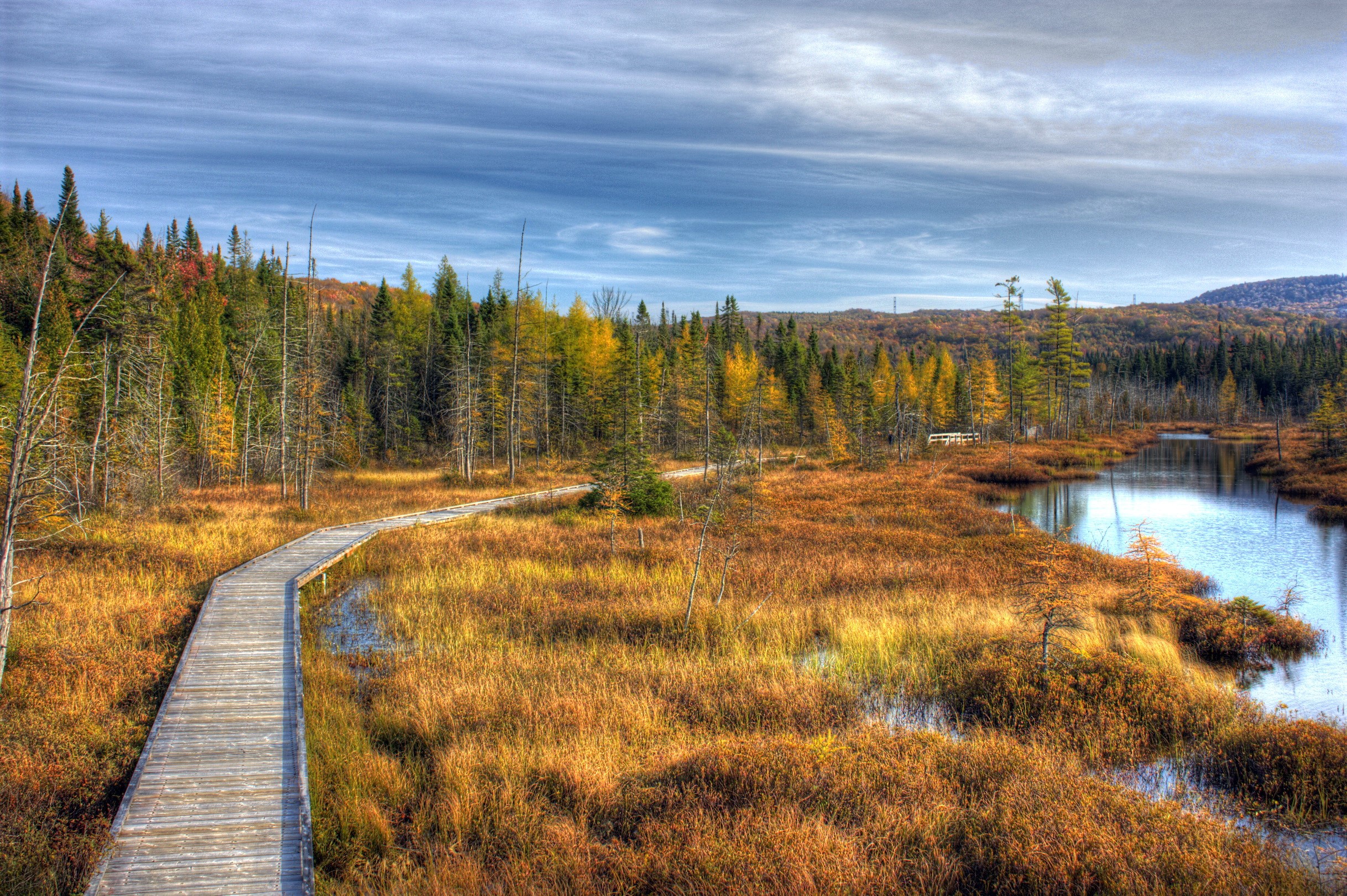 Boardwalk through autumn marshland in Quebec, Canada HD Wallpaper