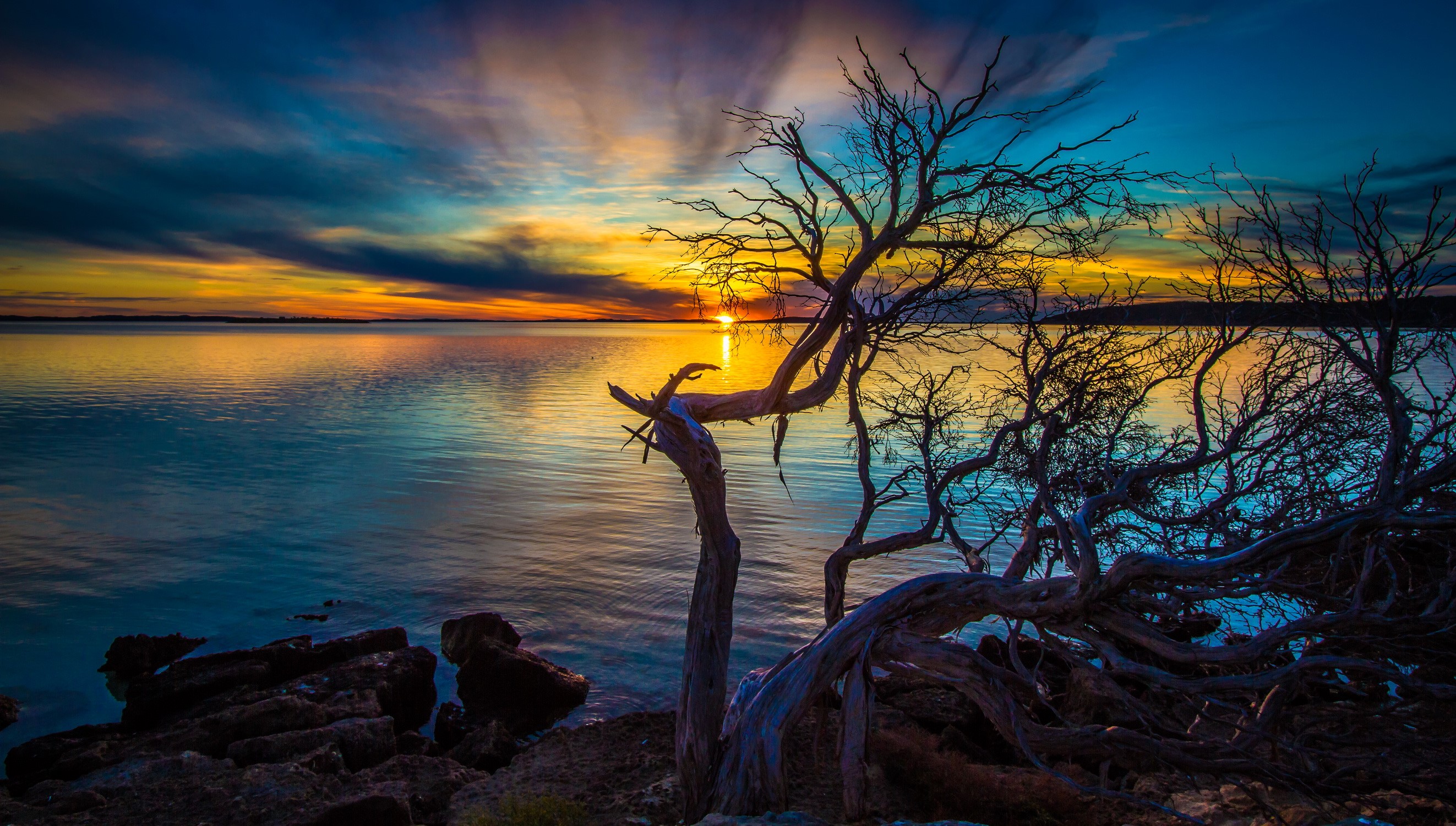 Sunset over the ocean with silhouetted trees HD Wallpaper