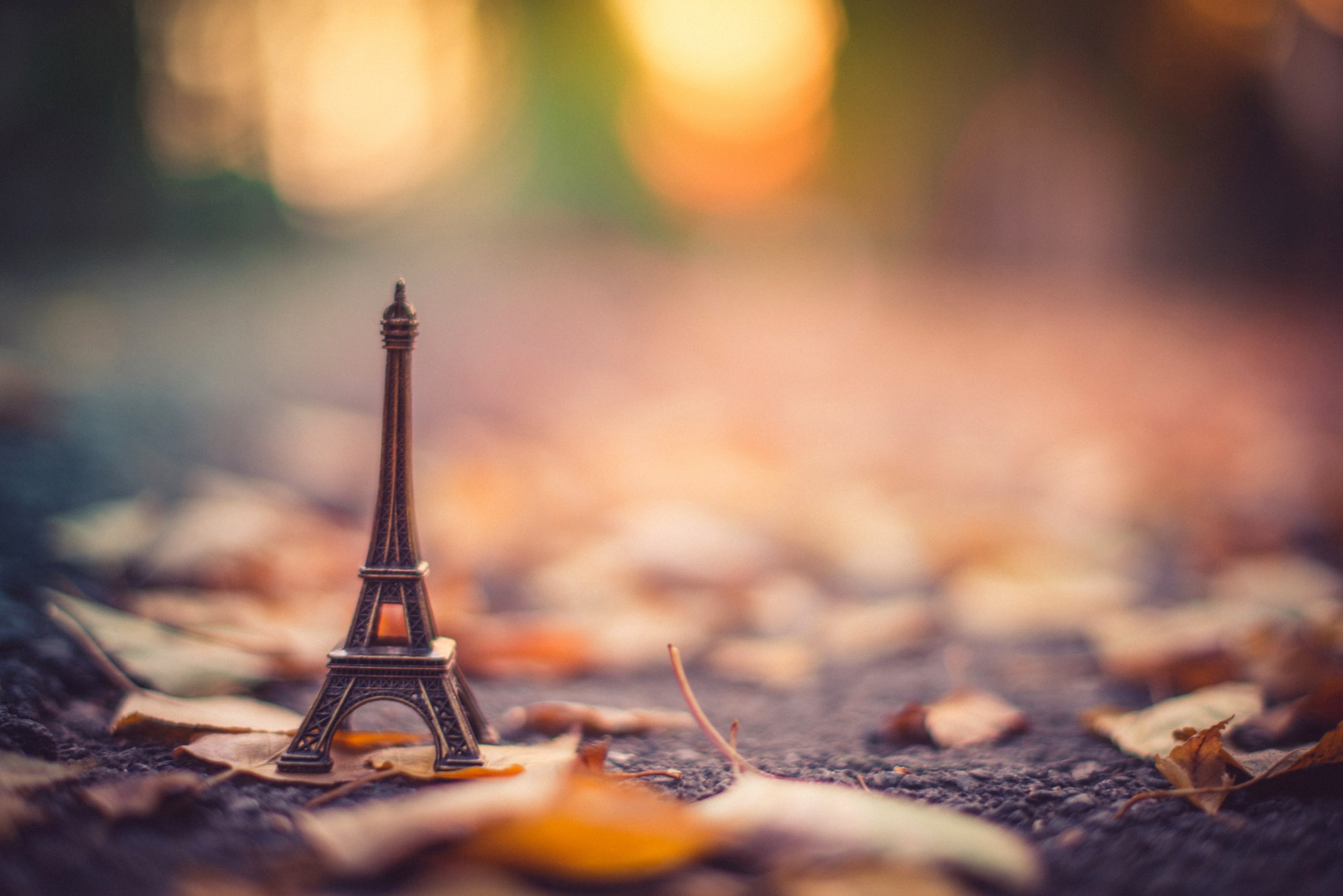 Miniature Eiffel Tower souvenir on autumn leaves HD Wallpaper