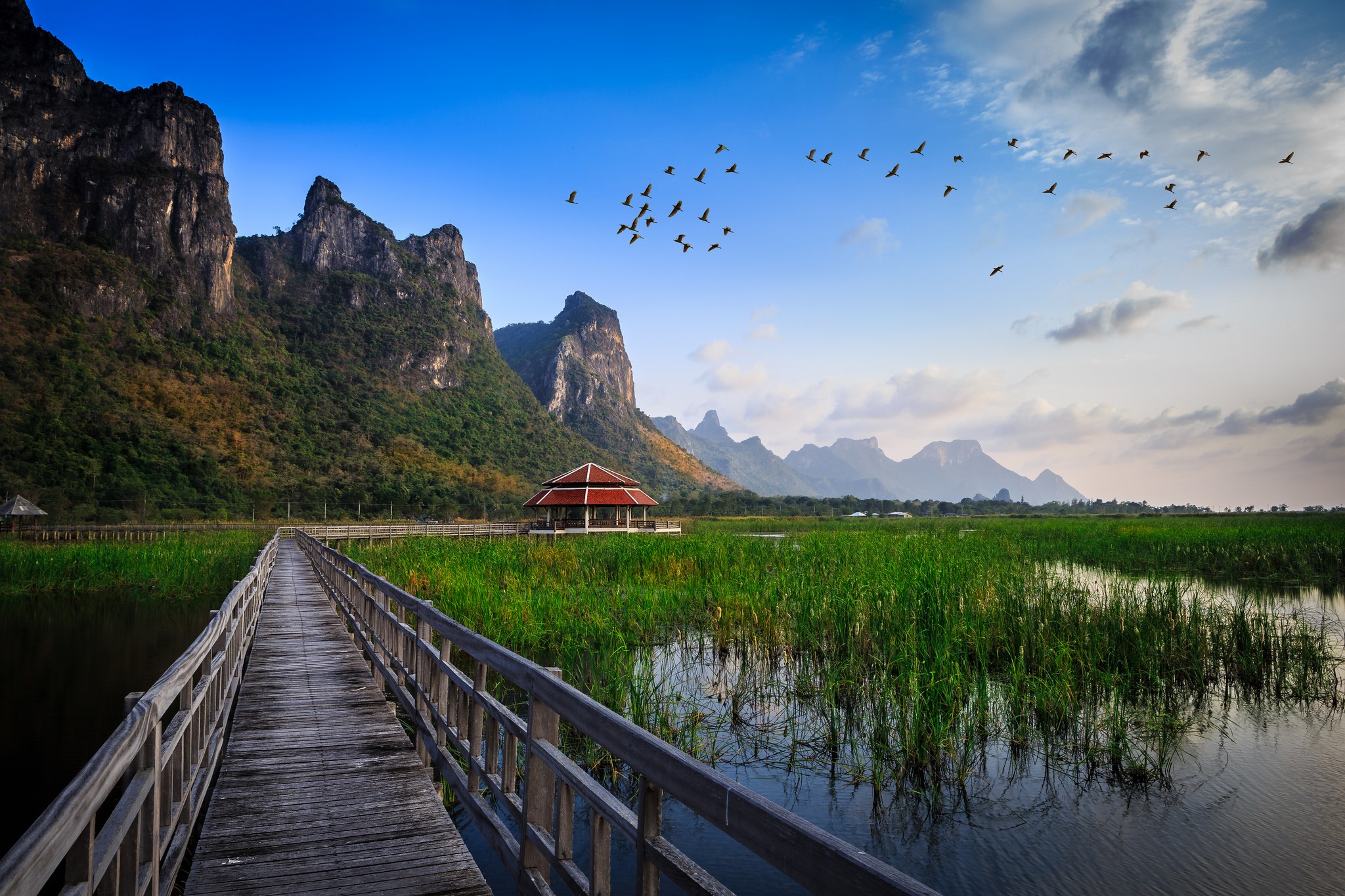 Wooden boardwalk through a marsh with mountains and birds HD Wallpaper