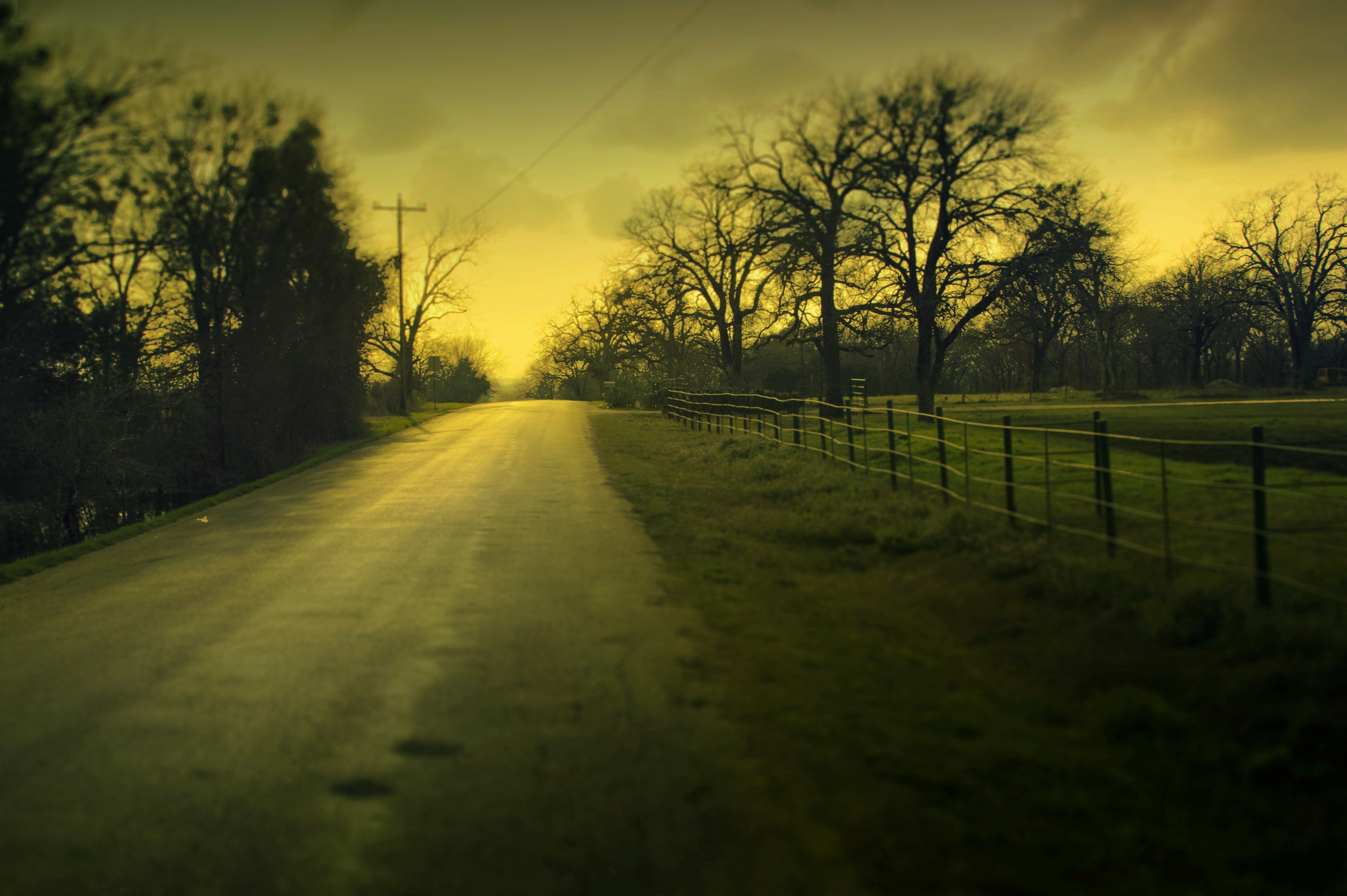 Road with fence and trees HD Wallpaper
