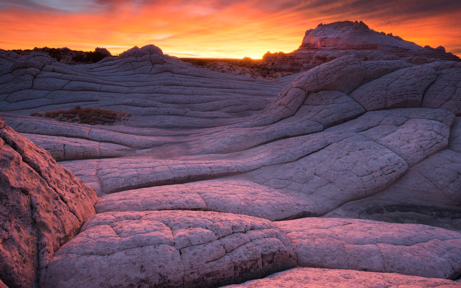 White Pocket, Arizona at Sunrise HD Wallpaper