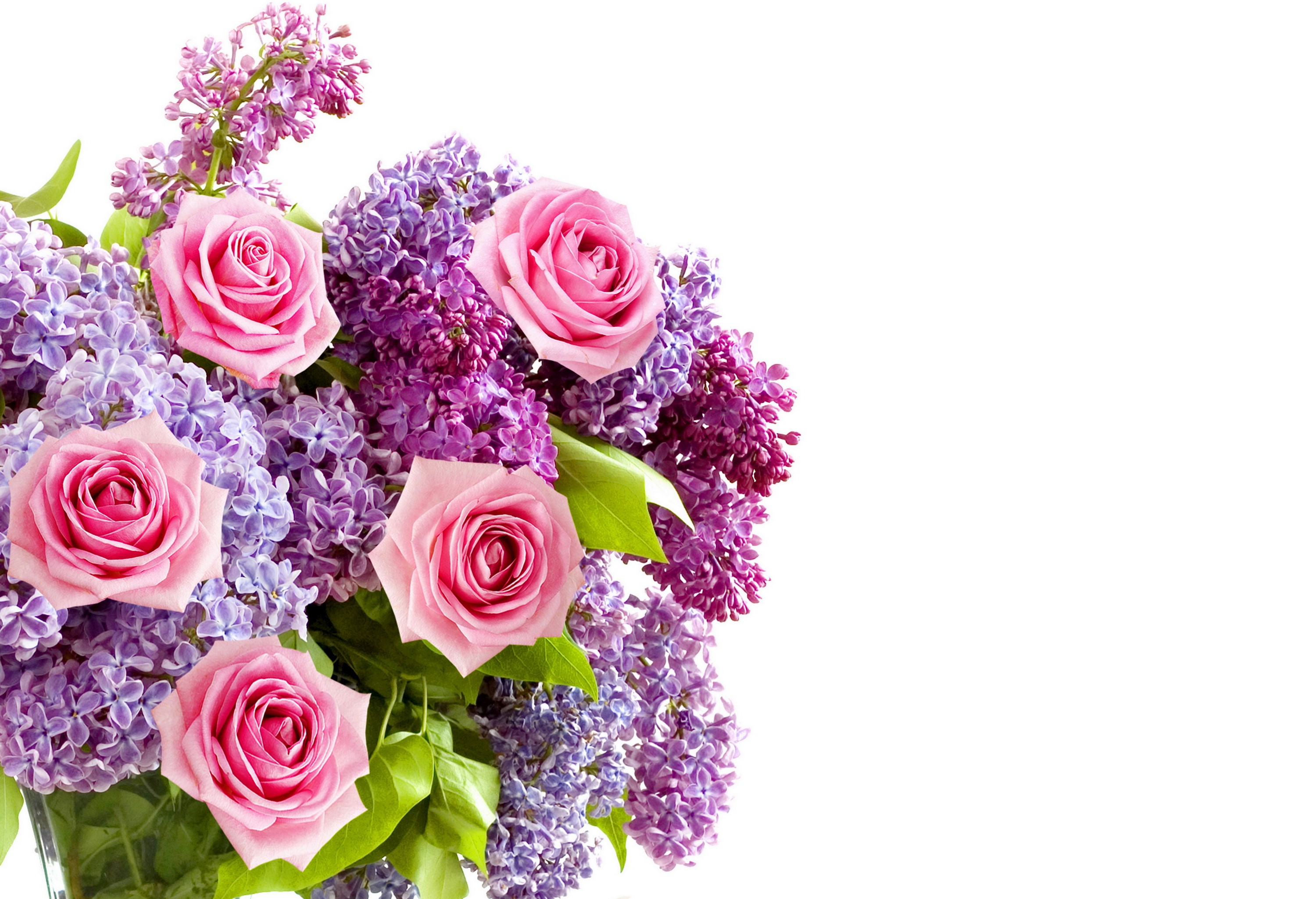Pink Roses and Purple Lilacs Bouquet HD Wallpaper