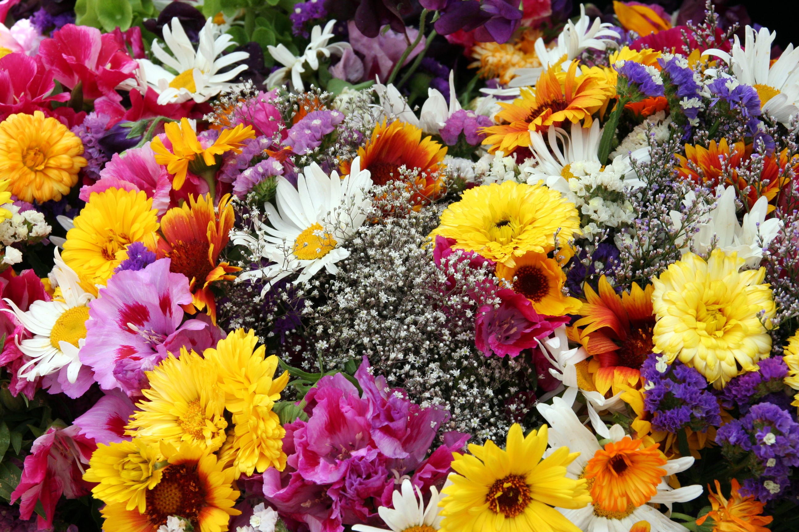 Colorful bouquet of assorted flowers HD Wallpaper
