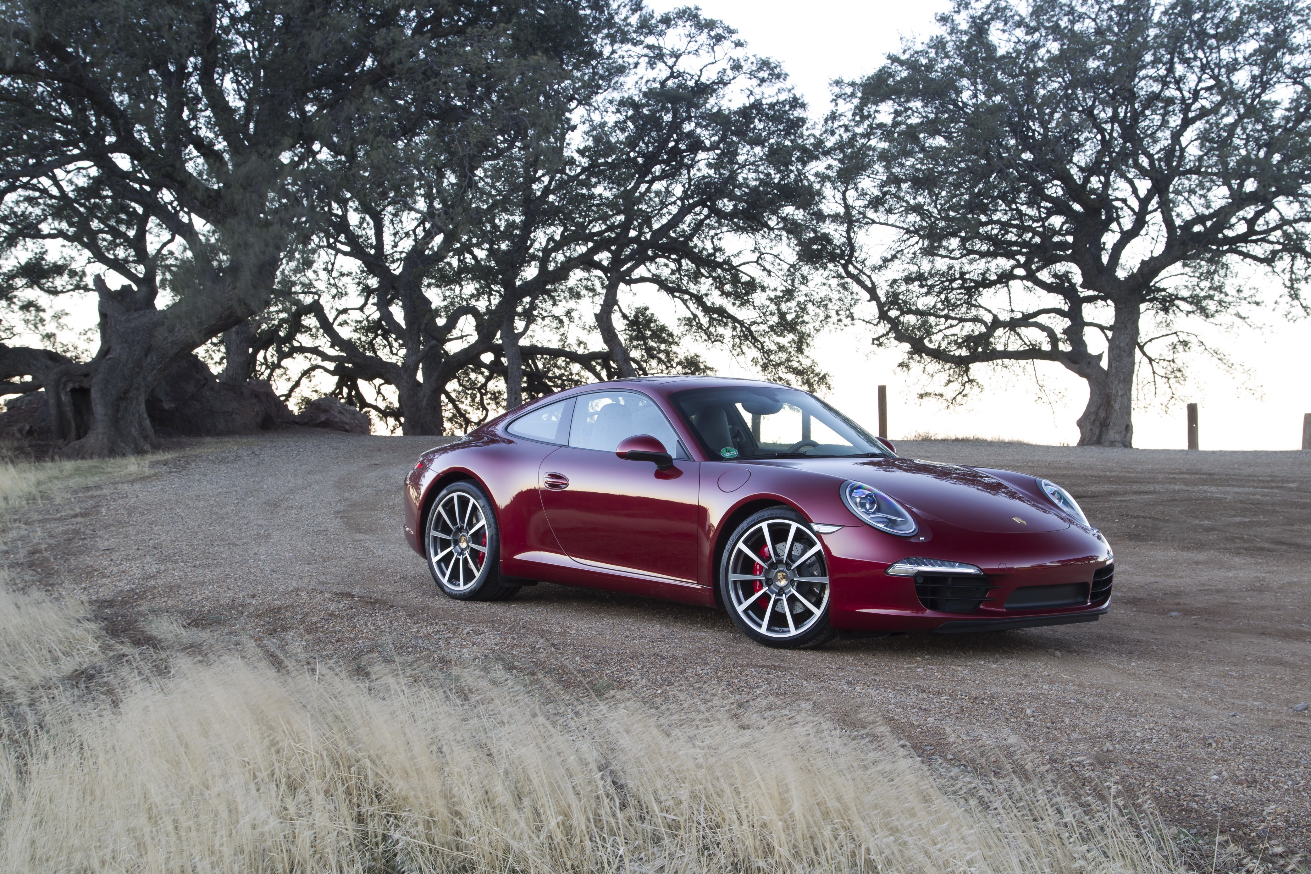 2011 Porsche 911 Carrera S in wine color HD Wallpaper