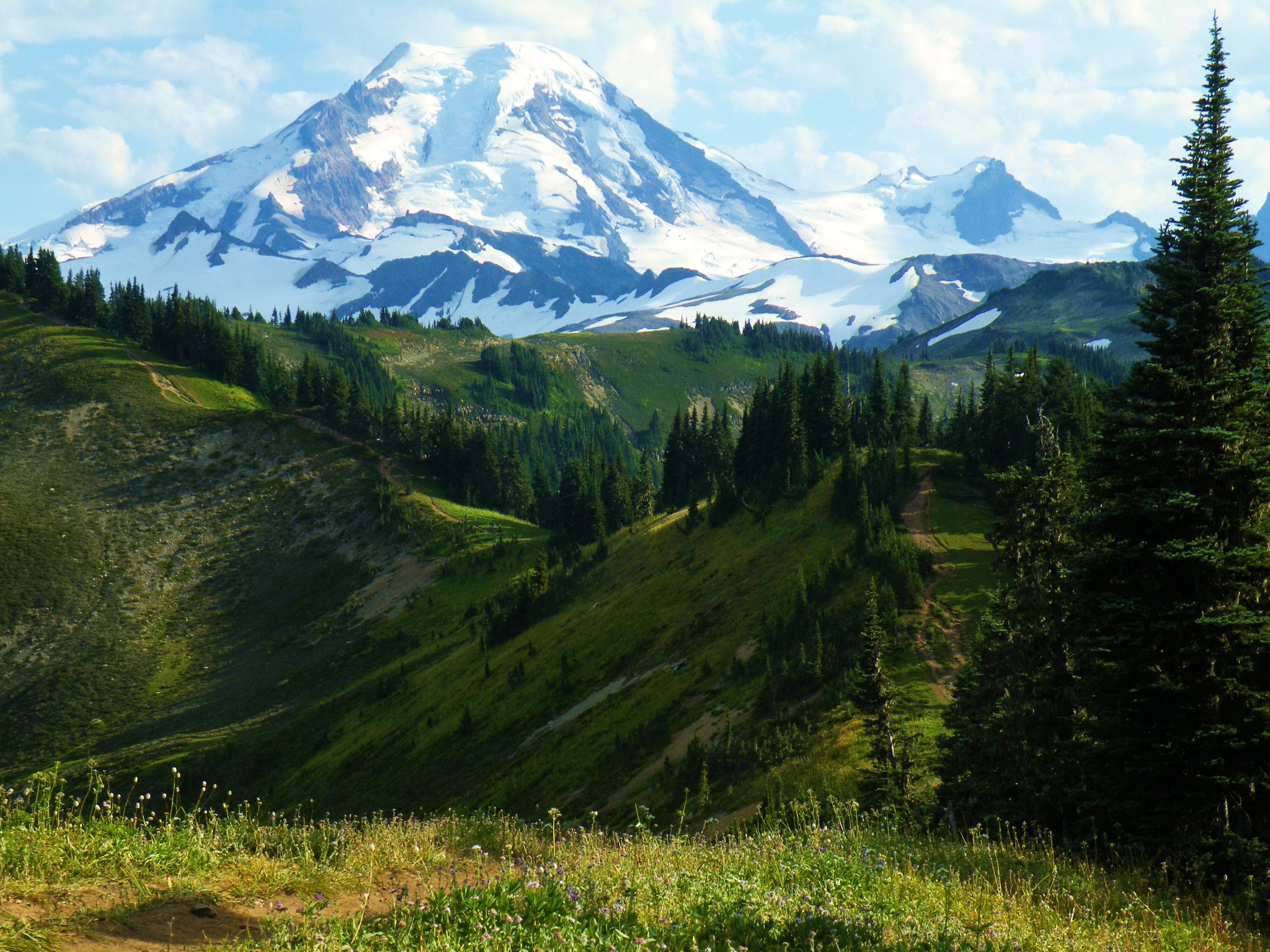 Mount Rainier in Baker-Snoqualmie National Forest, USA HD Wallpaper