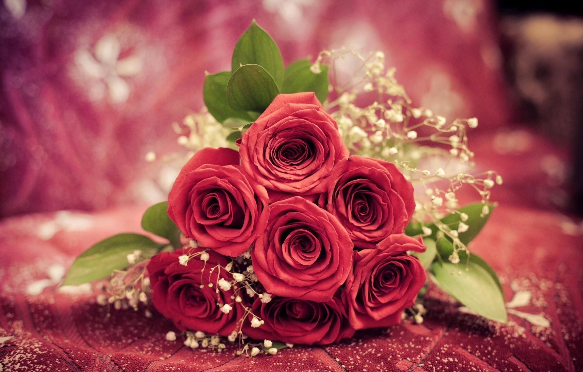 Bouquet of red roses with baby's breath HD Wallpaper