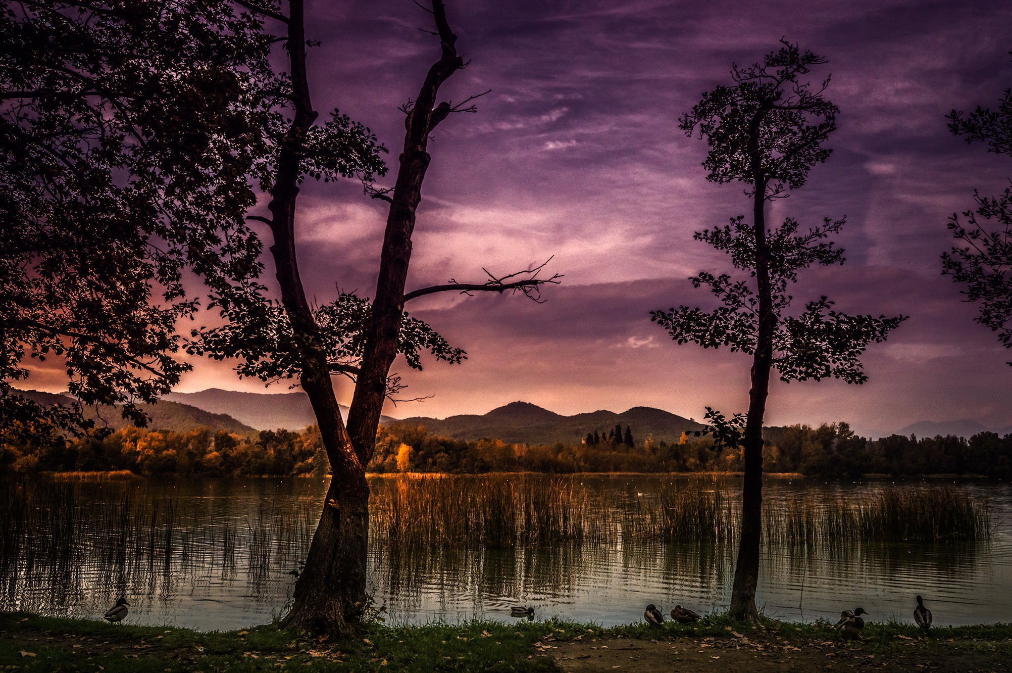 Lake with trees and mountains at sunset in Catalunya, Spain HD Wallpaper