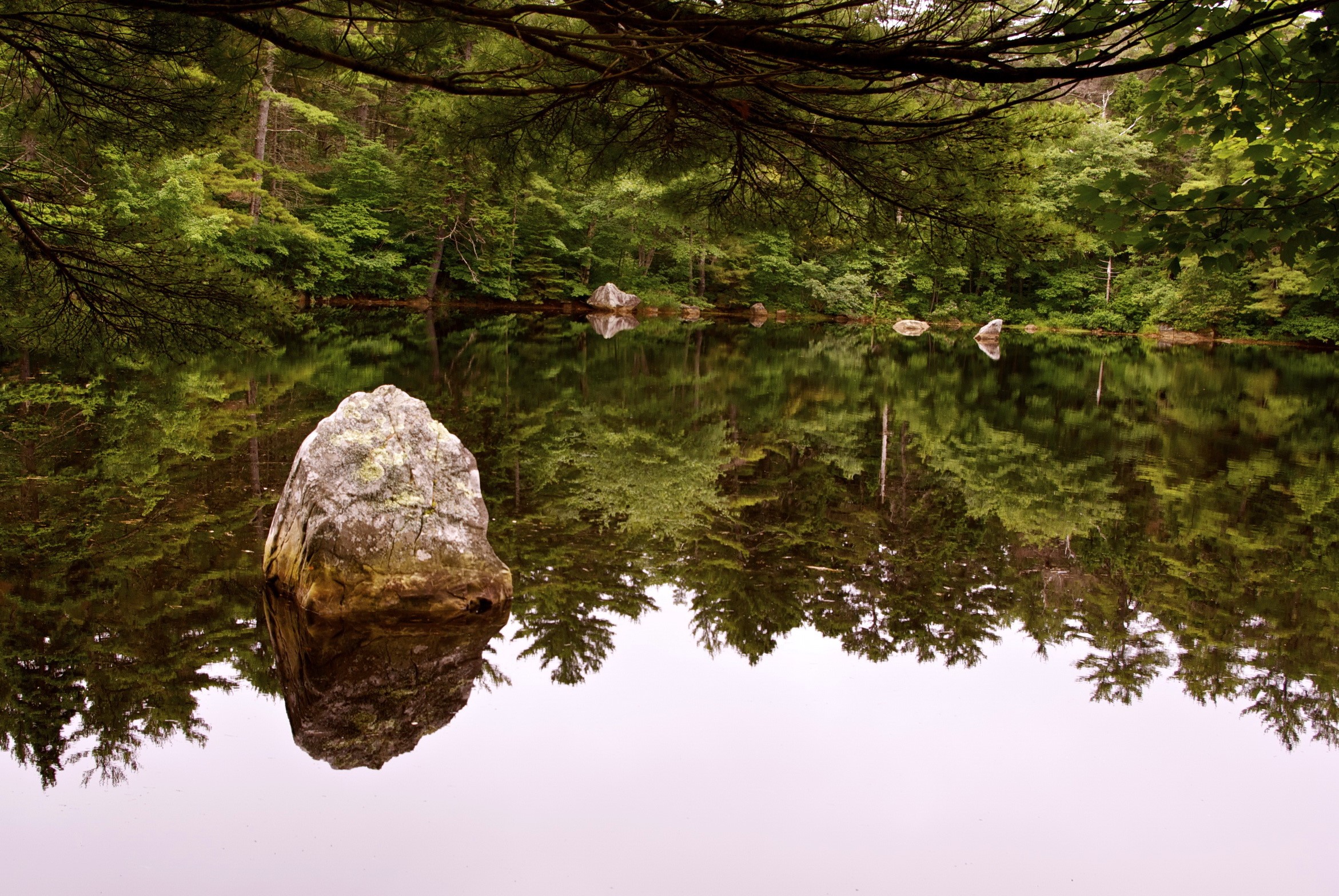 Rock in a forest lake with reflections HD Wallpaper